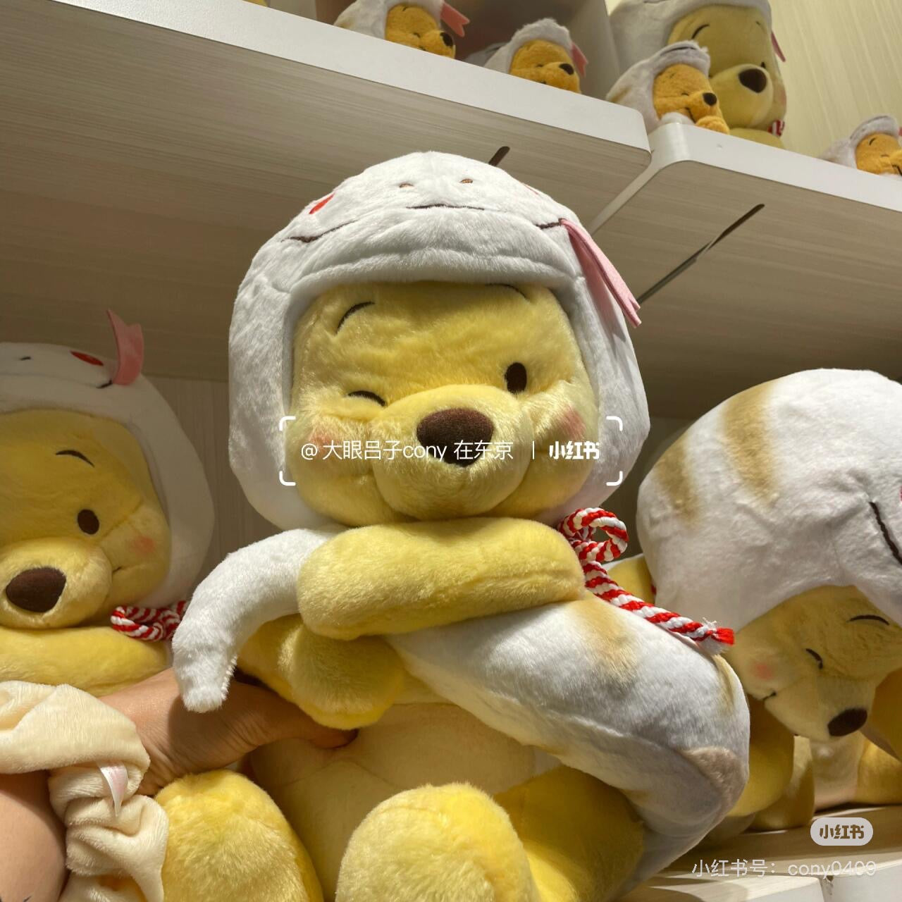 Disney迪士尼|东迪2025蛇年限定pooh噗噗维尼玩偶M号公仔|約高さ36×幅26×奥行き26(cm)