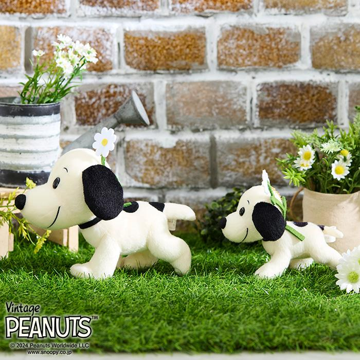 Snoopy|Peanuts Plush Dolls/Plush Toy|S/H18 x W8 x D21cm approx.