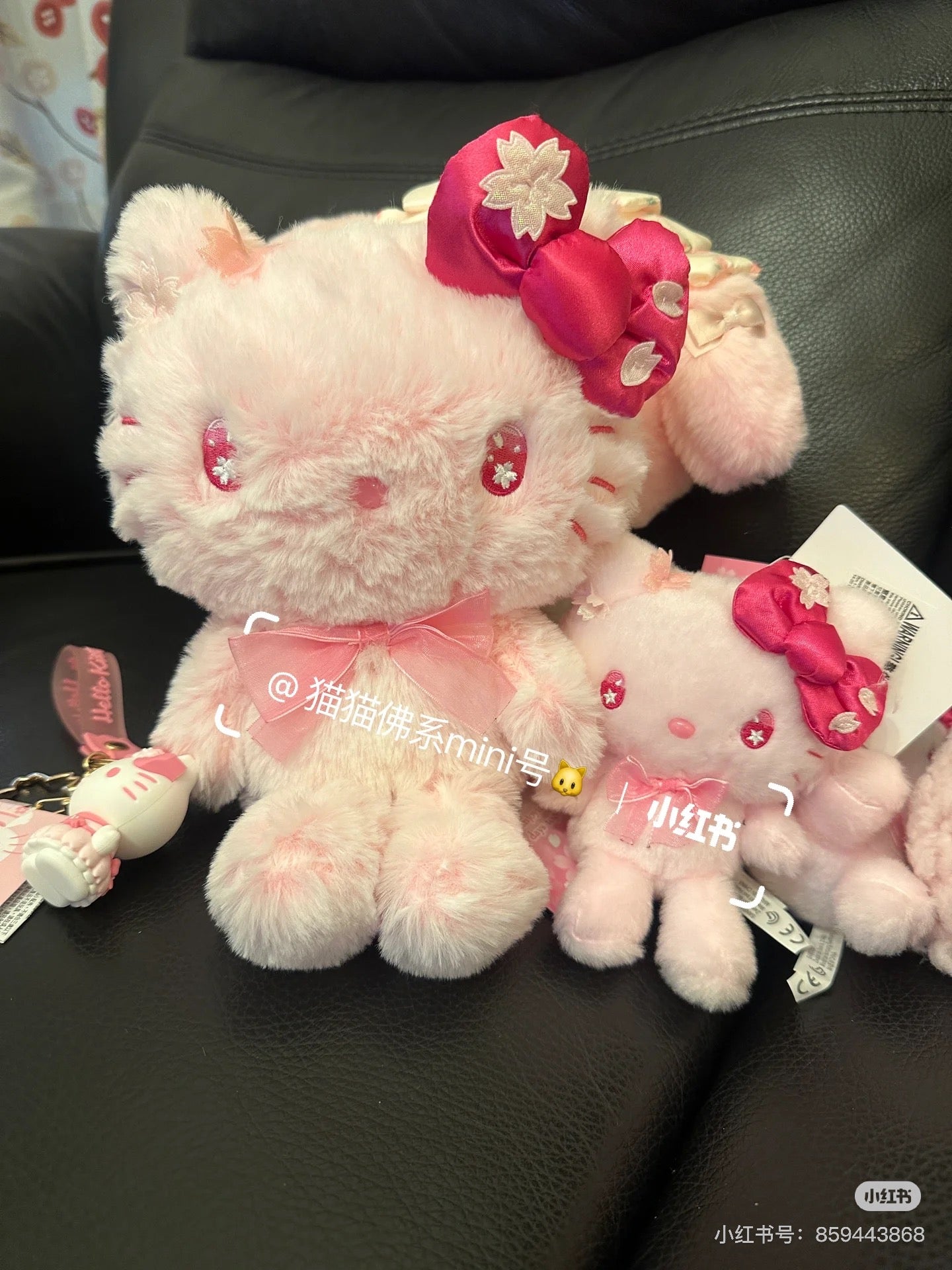 Sanrio|Sakura 2025 Plush Dolls/Plush Toy |23.9 x 17.3 x 9.0cm approx.