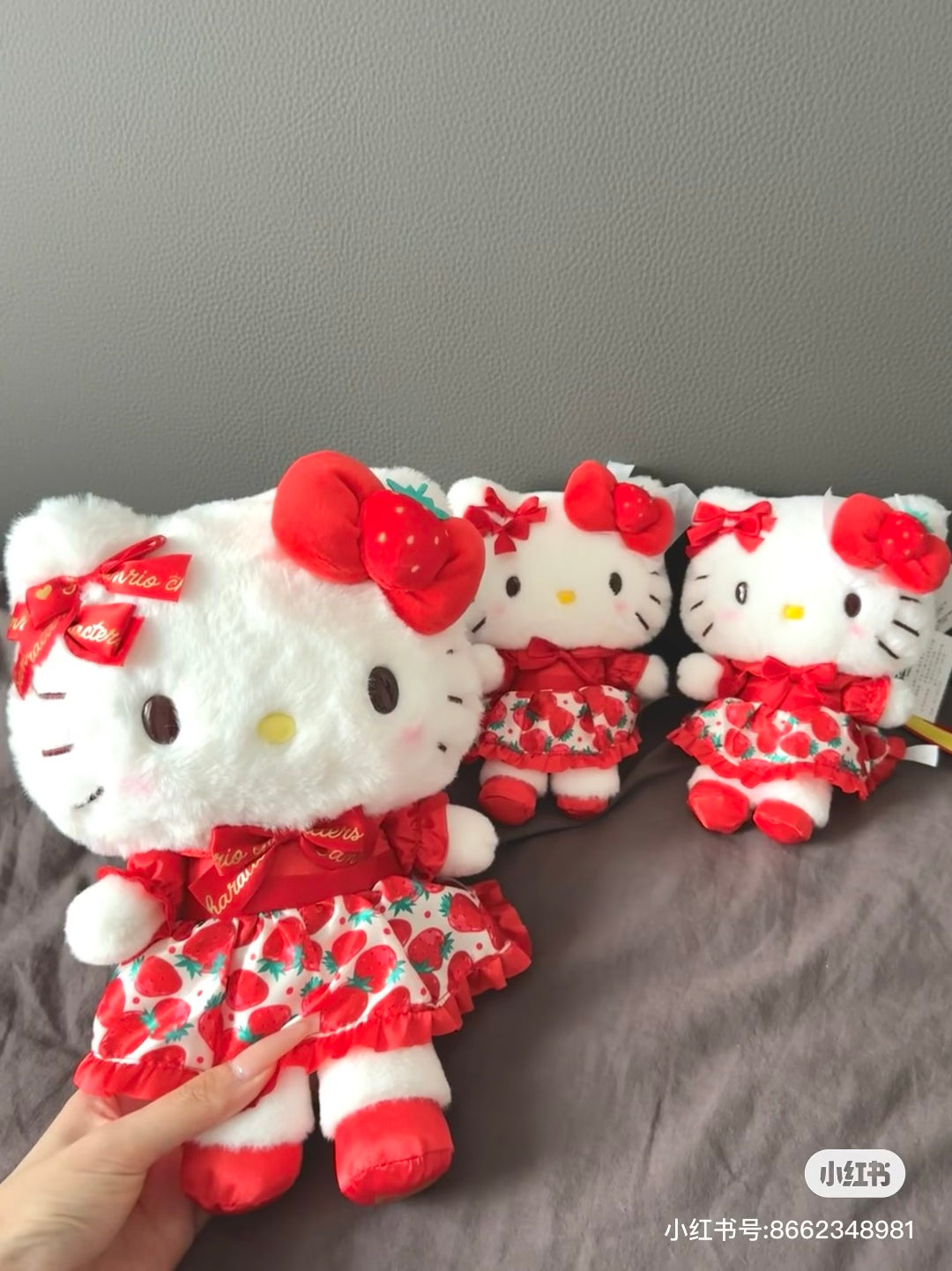 Sanrio|Ichigo Shimbun 50th Anniversary Plush Dolls/Plush Toy|W16.5 x D12.5 x H20.5cm approx.