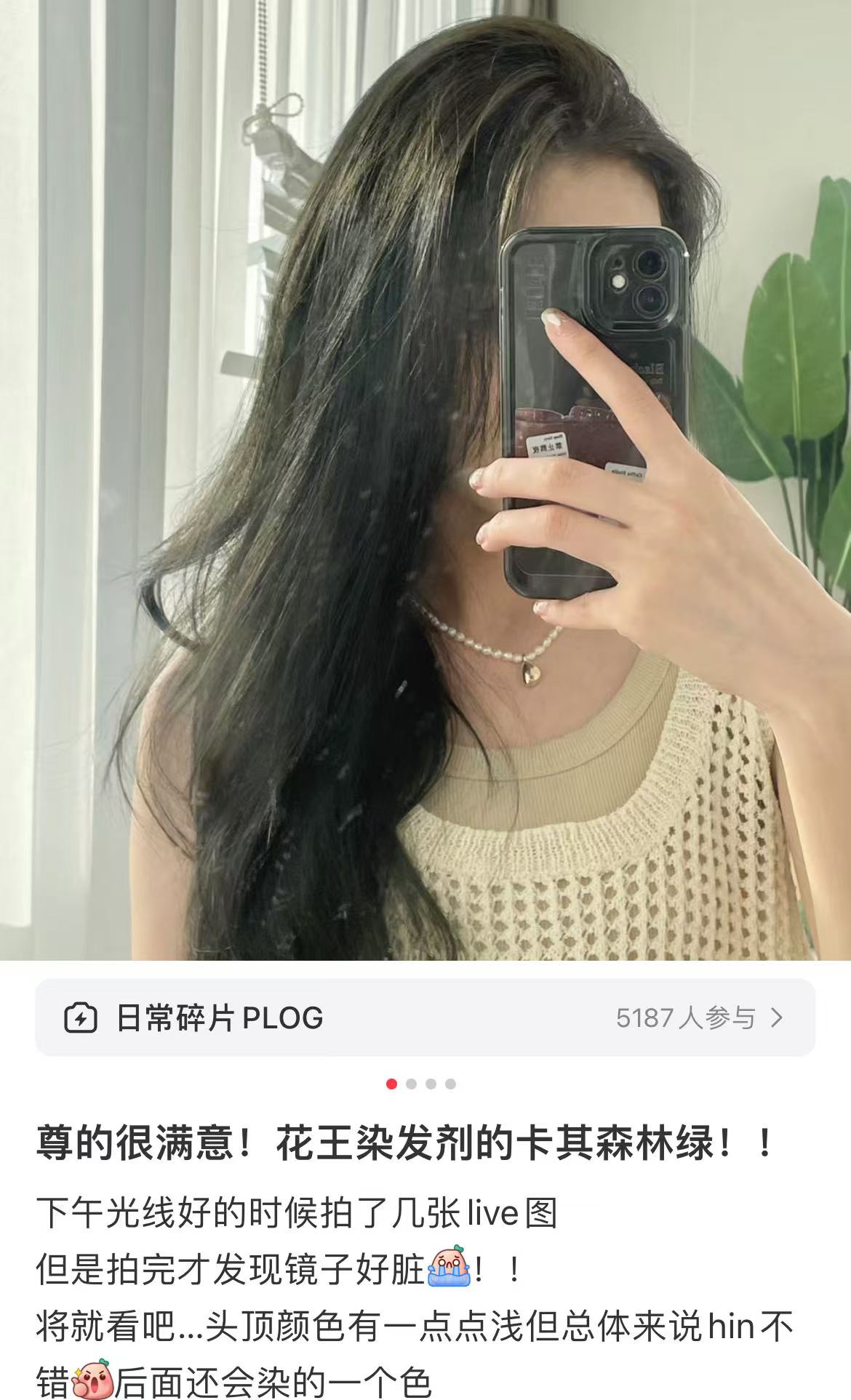 Kao|Liese莉婕泡沫染发膏/染发剂|108ml