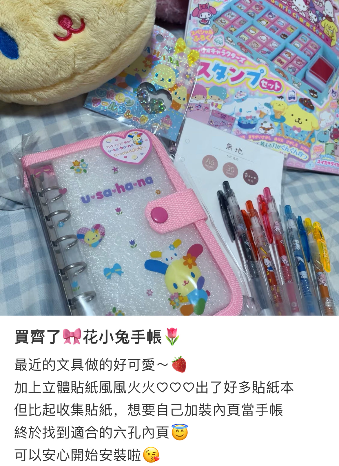 Sanrio|Usahana sticker binder|H160×W120×D30mm approx.