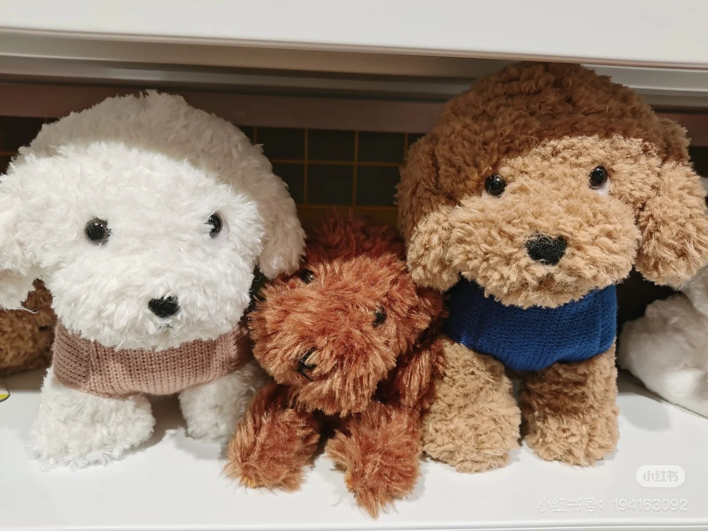 Sunlemon|Plush Doll amico cane - Toy Poodle Beige (M) |H20×W14×D25cm approx.