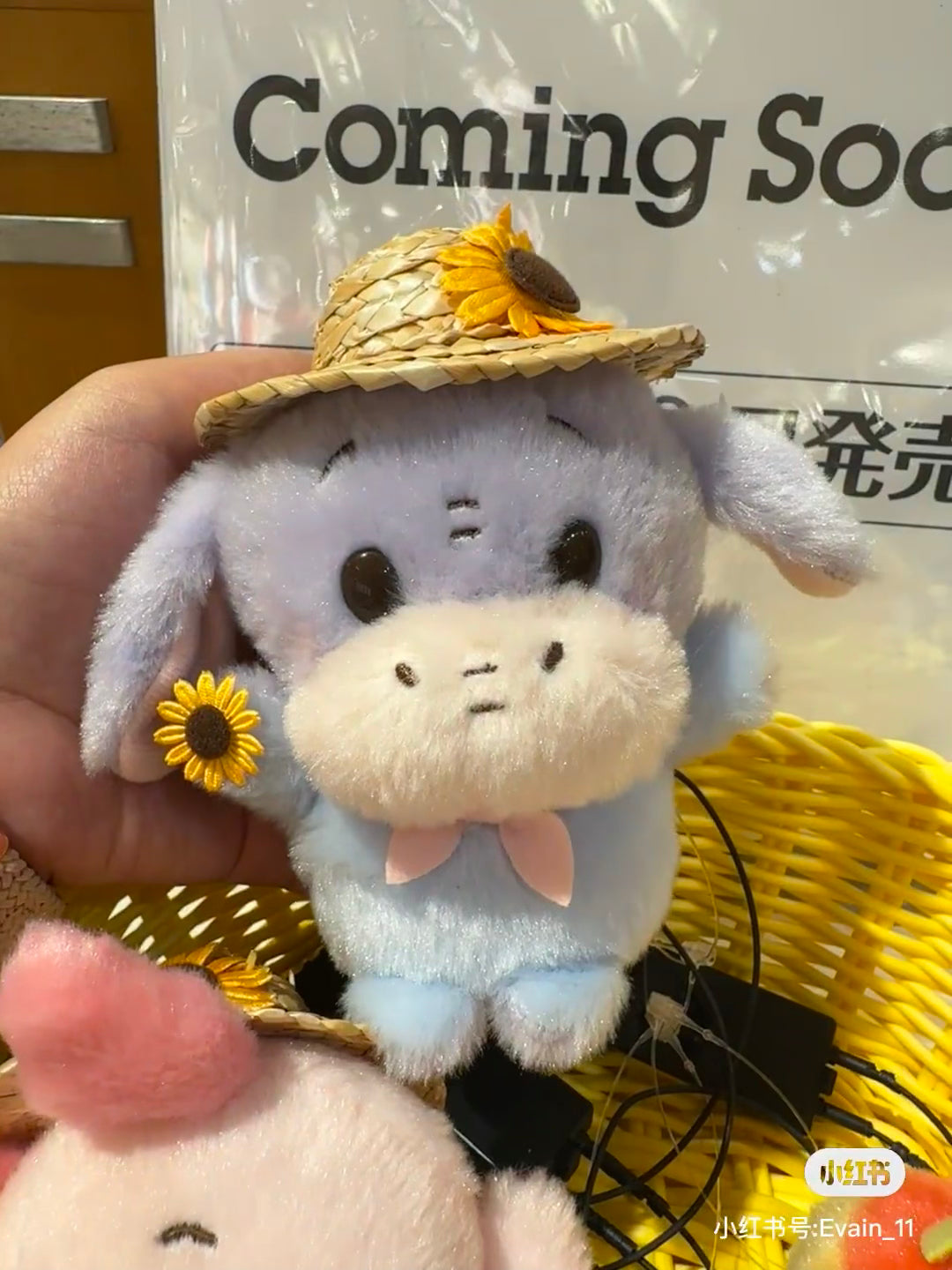 Disney|2024 Winnie the Pooh草帽豆豆眼玩偶/手玉|約高さ11.5×幅8.5×奥行き9cm