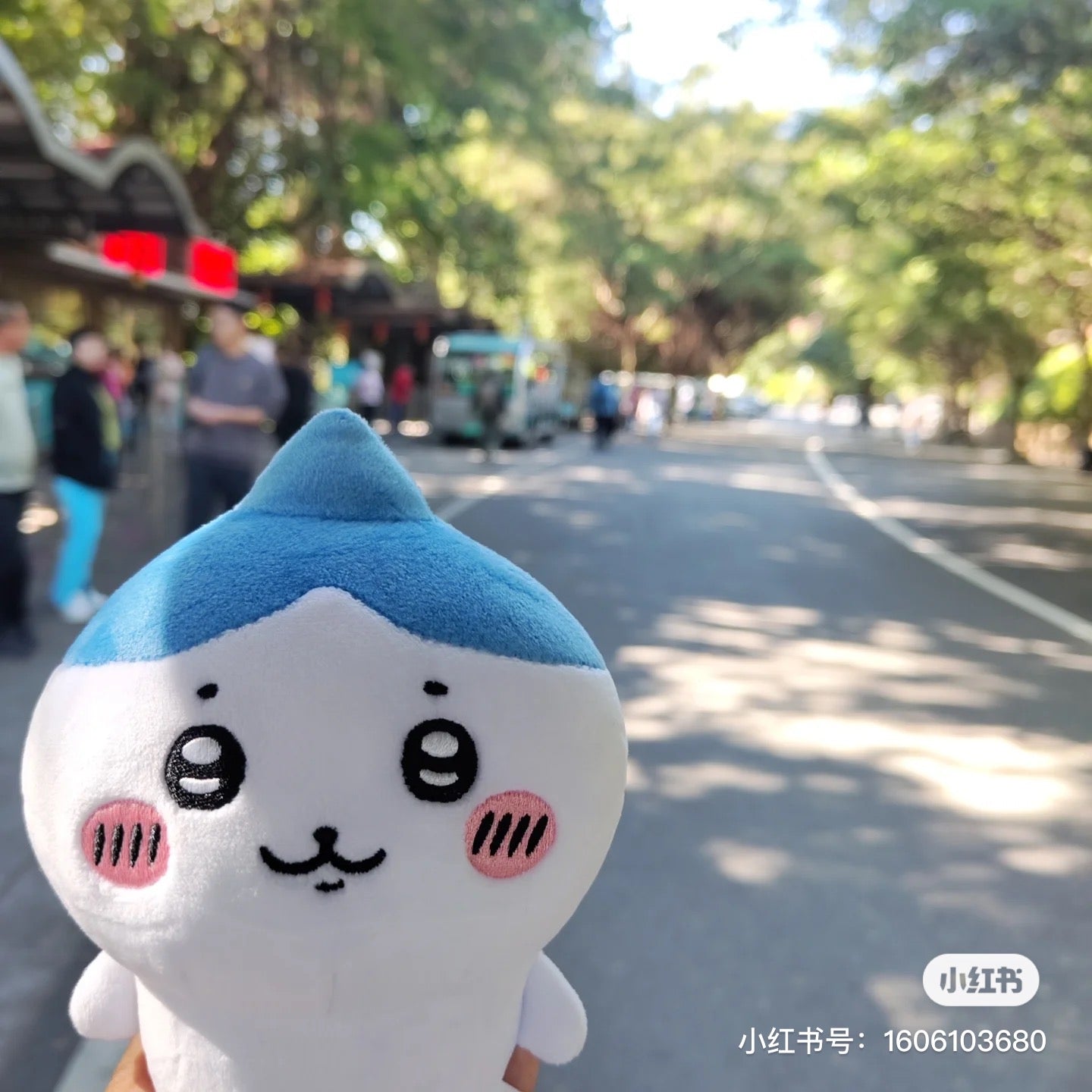 Chiikawa 吉伊卡哇|蒜头小八公仔/玩偶|约H160×W110×D80mm