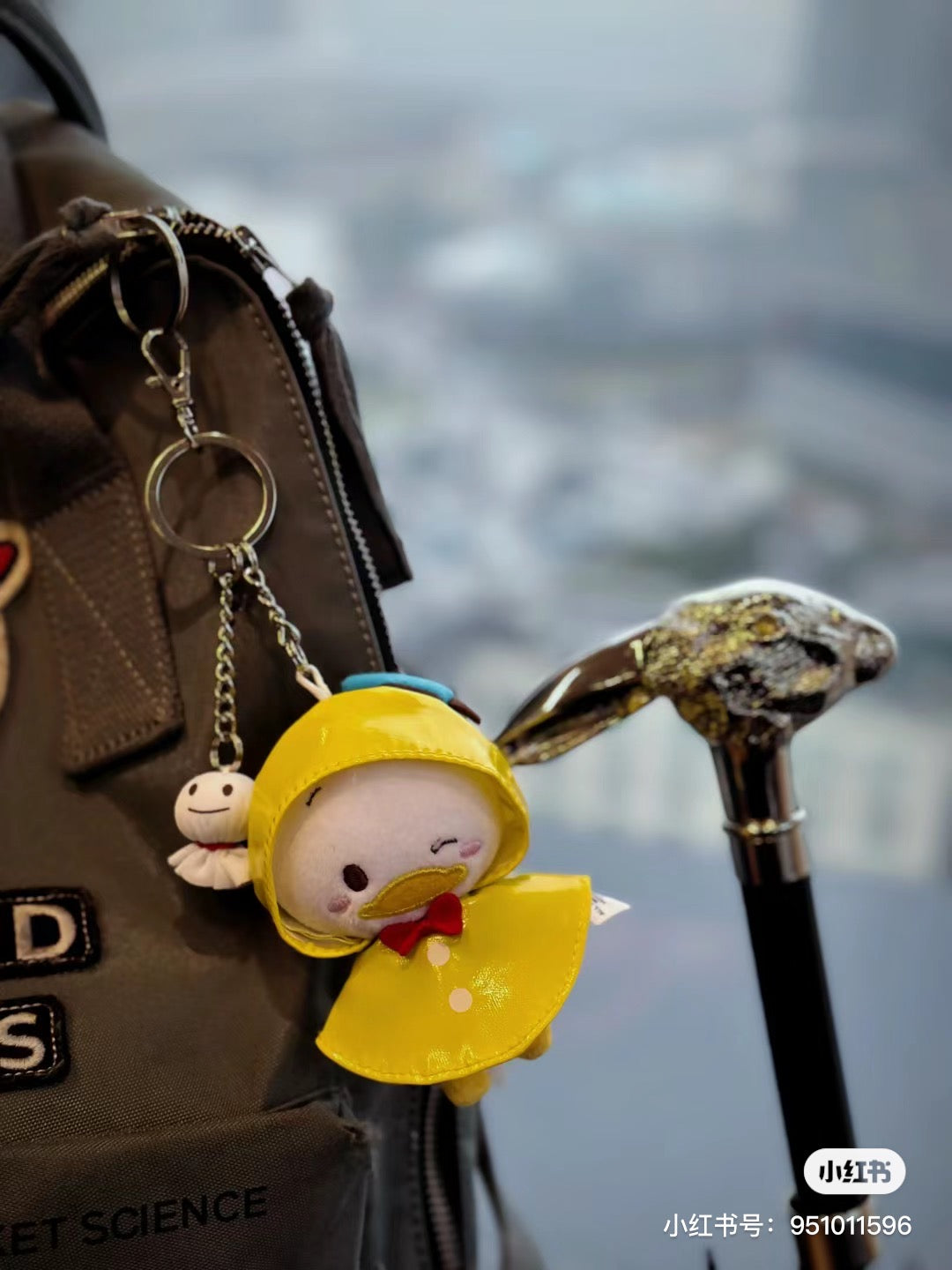 Disney HK|雨衣系列挂件