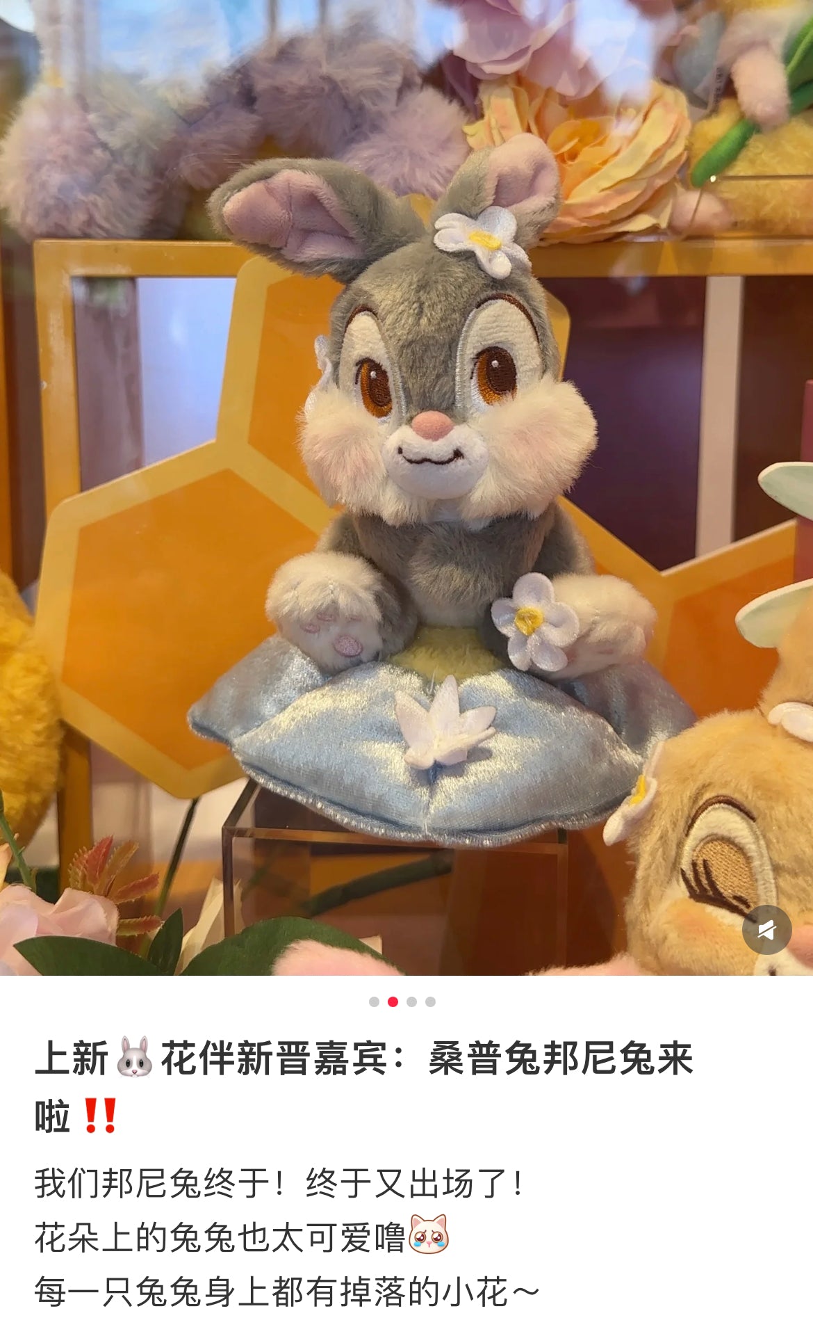 Disney|Flower Garden Mascot Holder /Plush Keychain|H16×W12×D10cm approx.