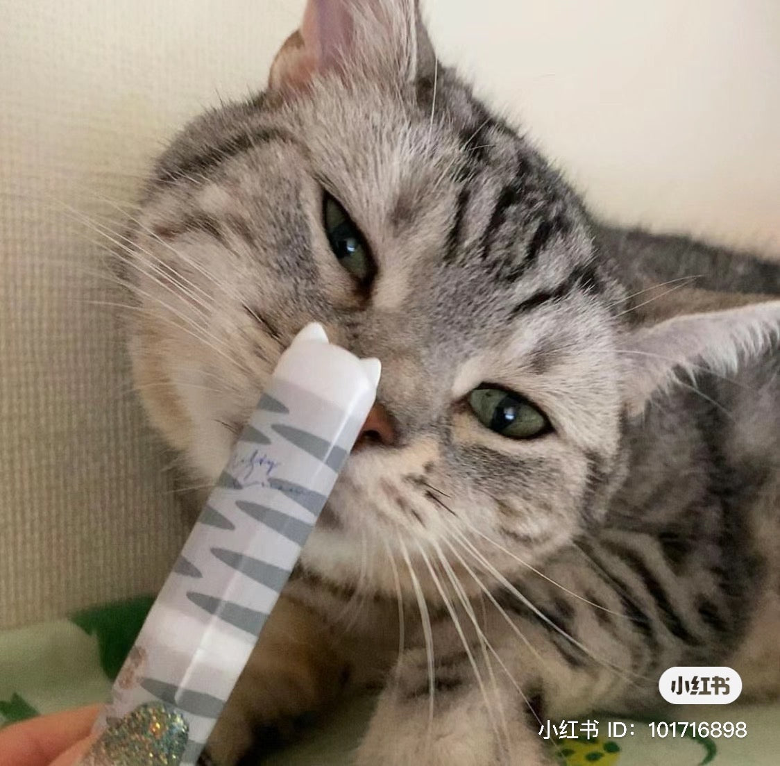 Mentholatum曼秀雷敦|限定猫猫耳朵spf25防晒保湿无香润唇膏/神经酰胺添加/润得很|2.4g