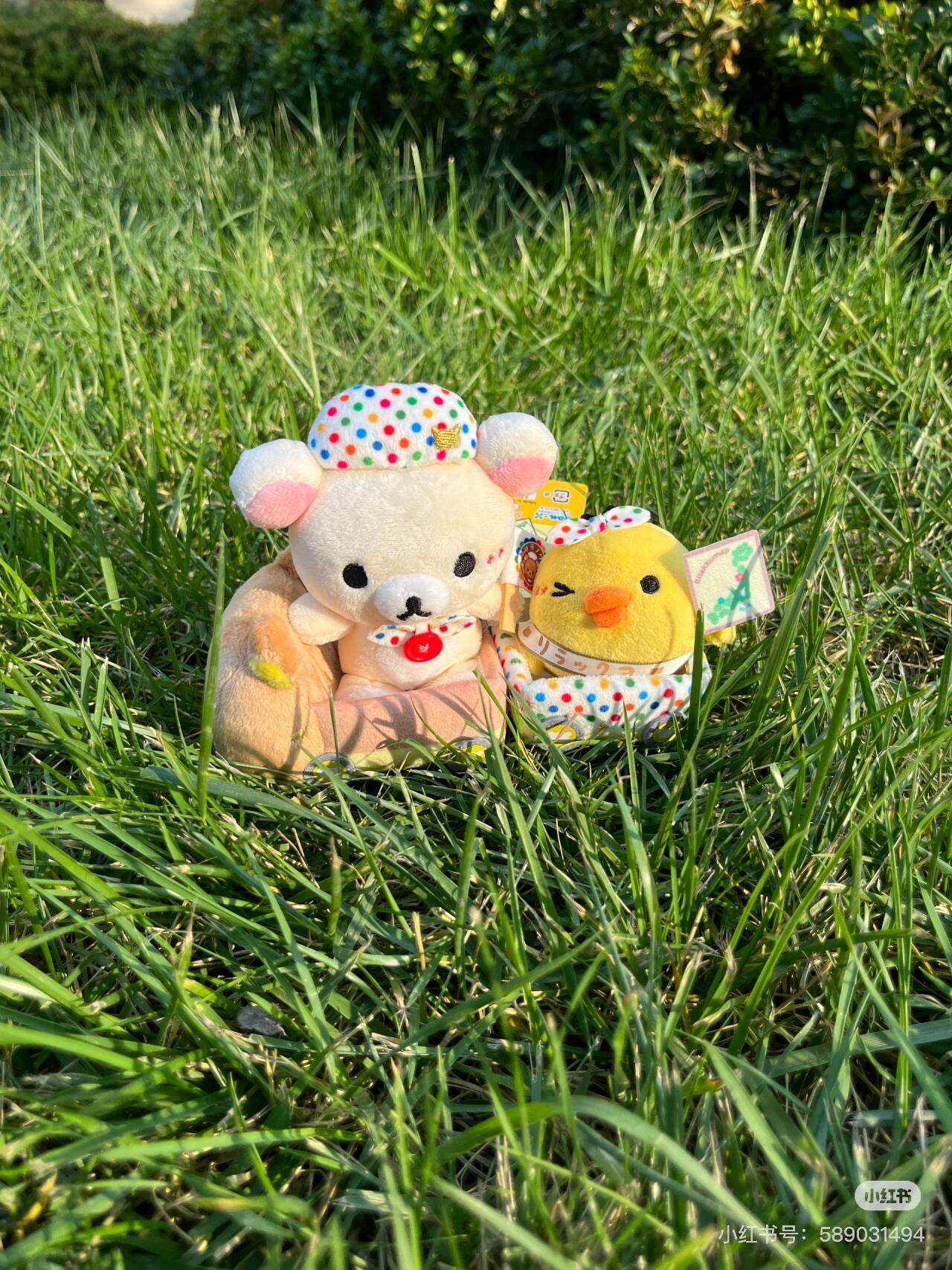 Rilakkuma轻松熊|20周年限定Korilakkuma小白熊+Kiiroitori鼻孔鸡+Rilakkuma轻松熊选举合奏巡游车毛绒玩偶套组摆件/公仔