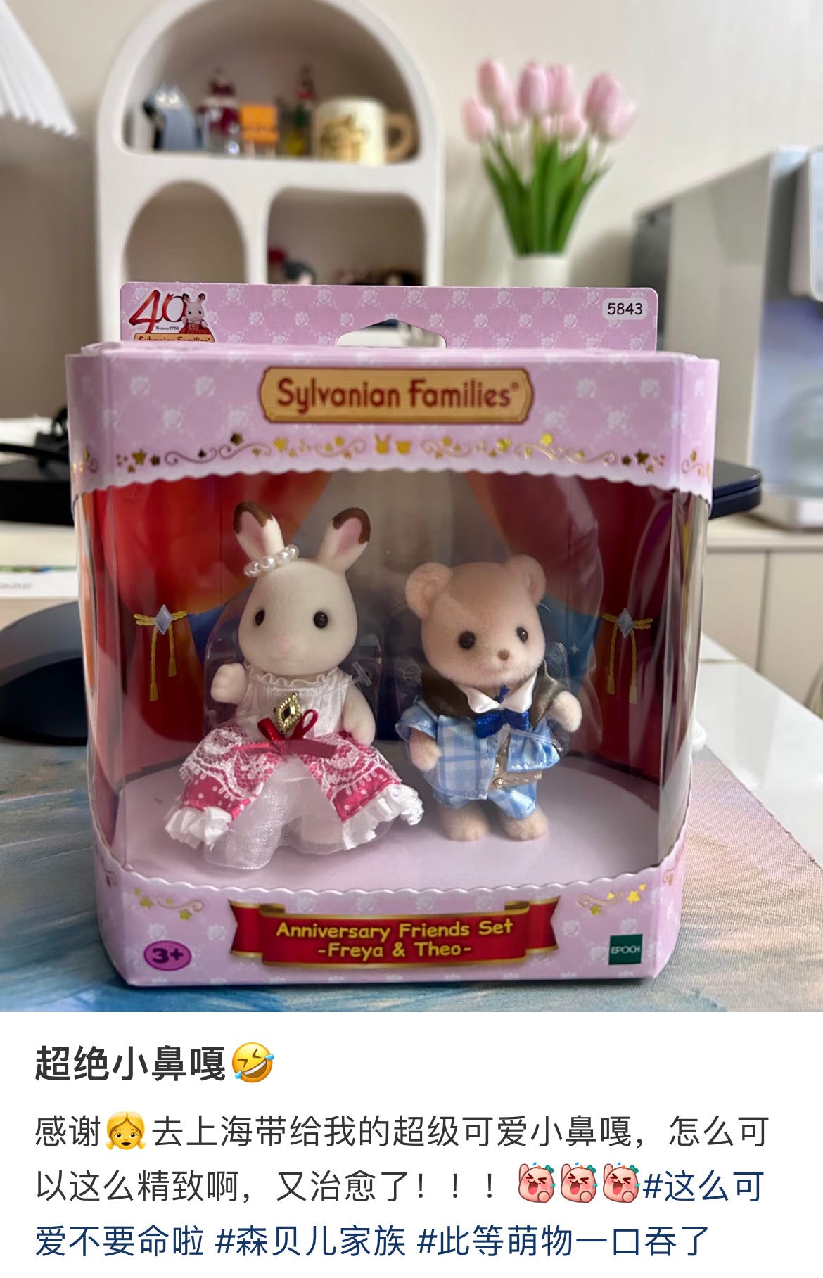 SylvanianFamilies|Anniversary Friends Freya & Theo Set 5843
