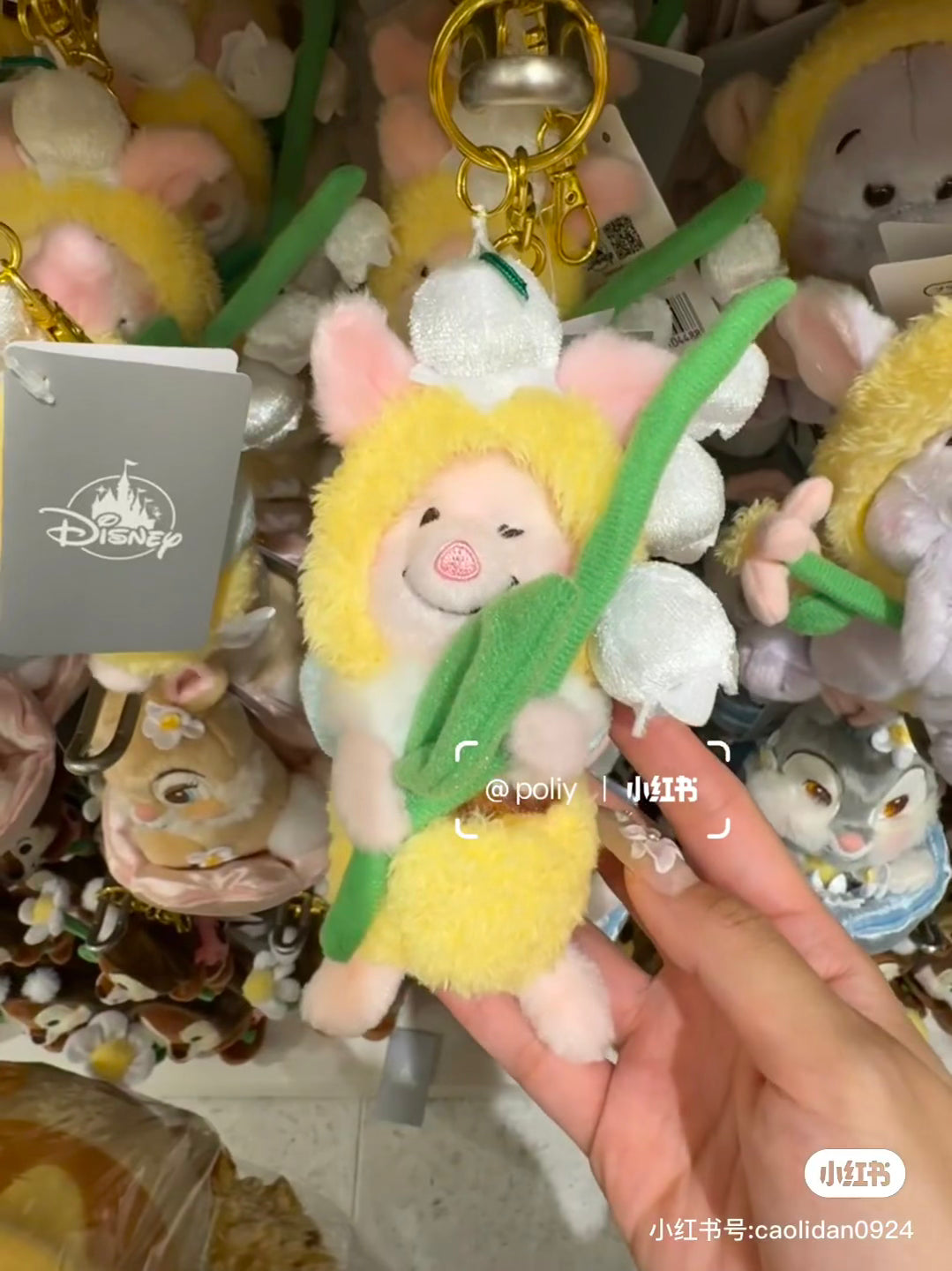 Disney|Flower Garden Mascot Holder /Plush Keychain|H16×W12×D10cm approx.