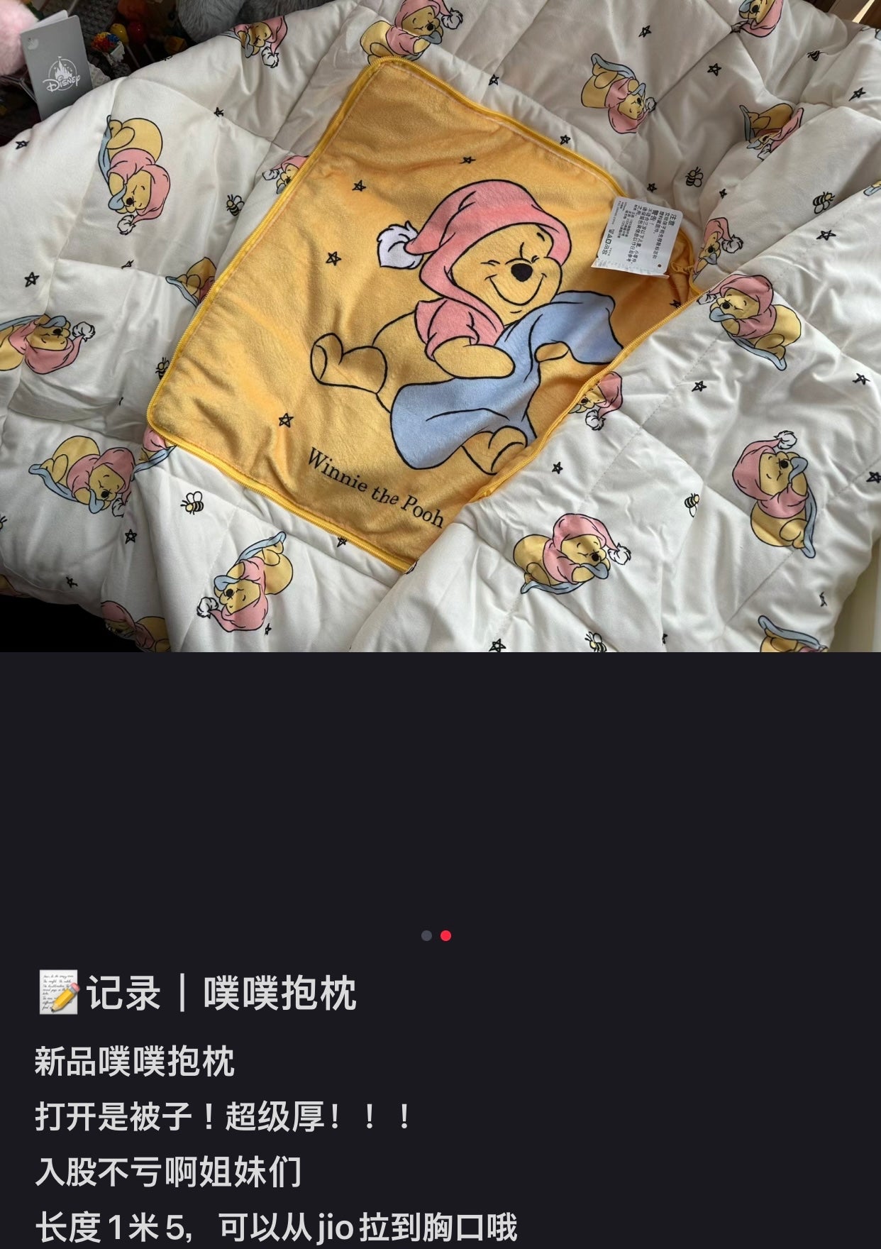 Disney SH|winnie the pooh维尼/噗噗小被子抱枕/打开后小被子超赞/又软又美