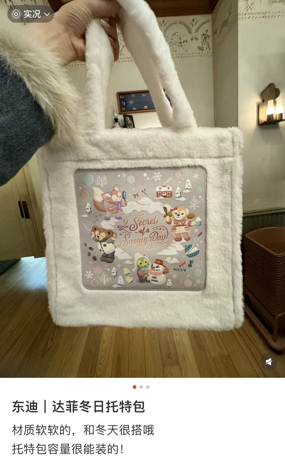 Disney|winter tote bag