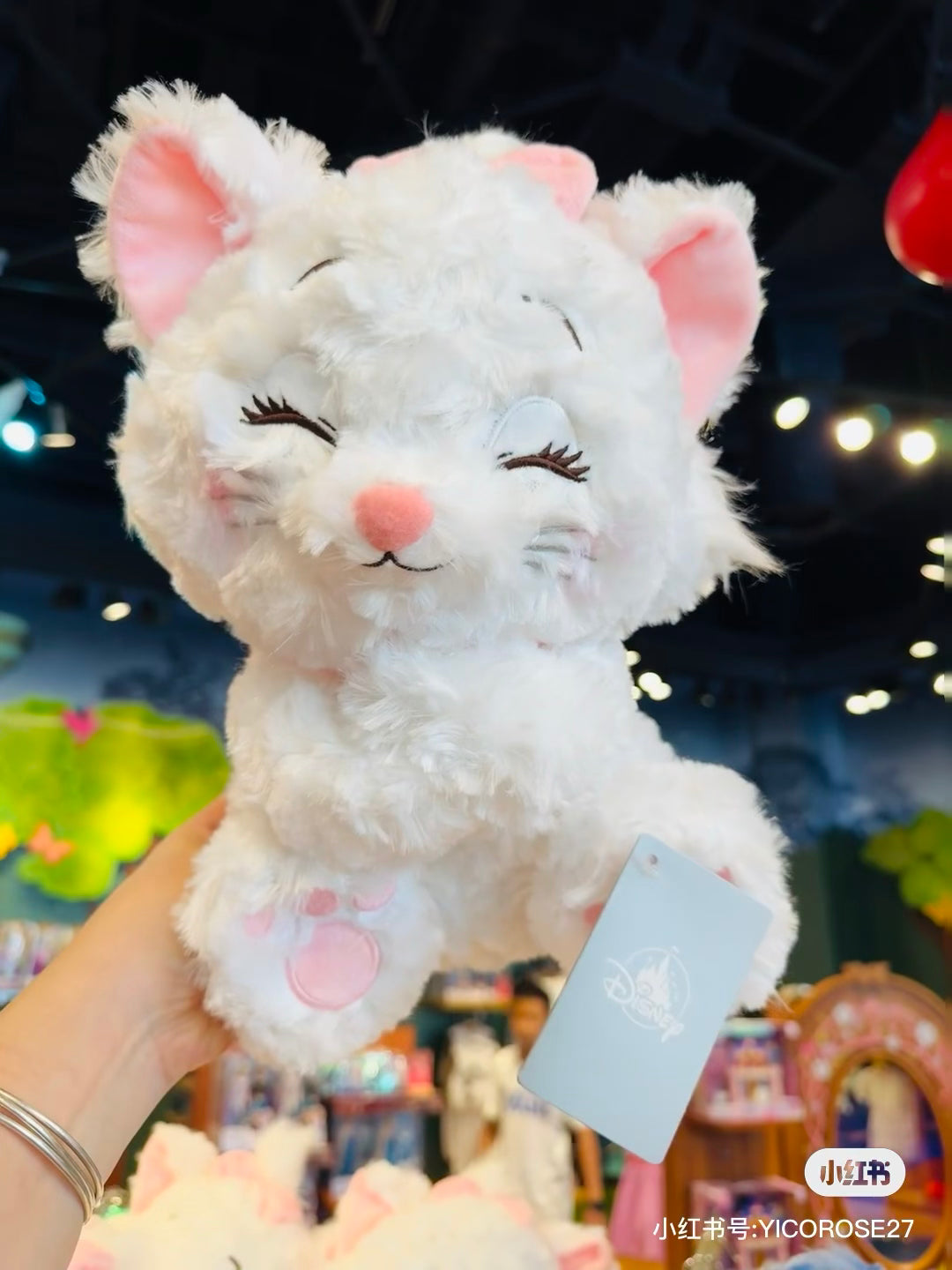 Disney|东迪眯眯眼抱抱你系列/卷毛玫瑰绒公仔/玩偶|約35×35×27cm