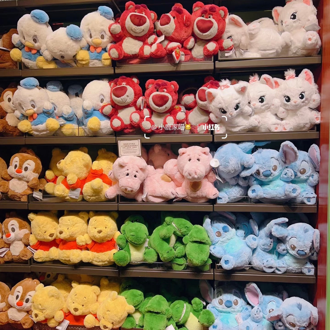 Disney SH|抱抱我系列超好rua公仔/玩偶