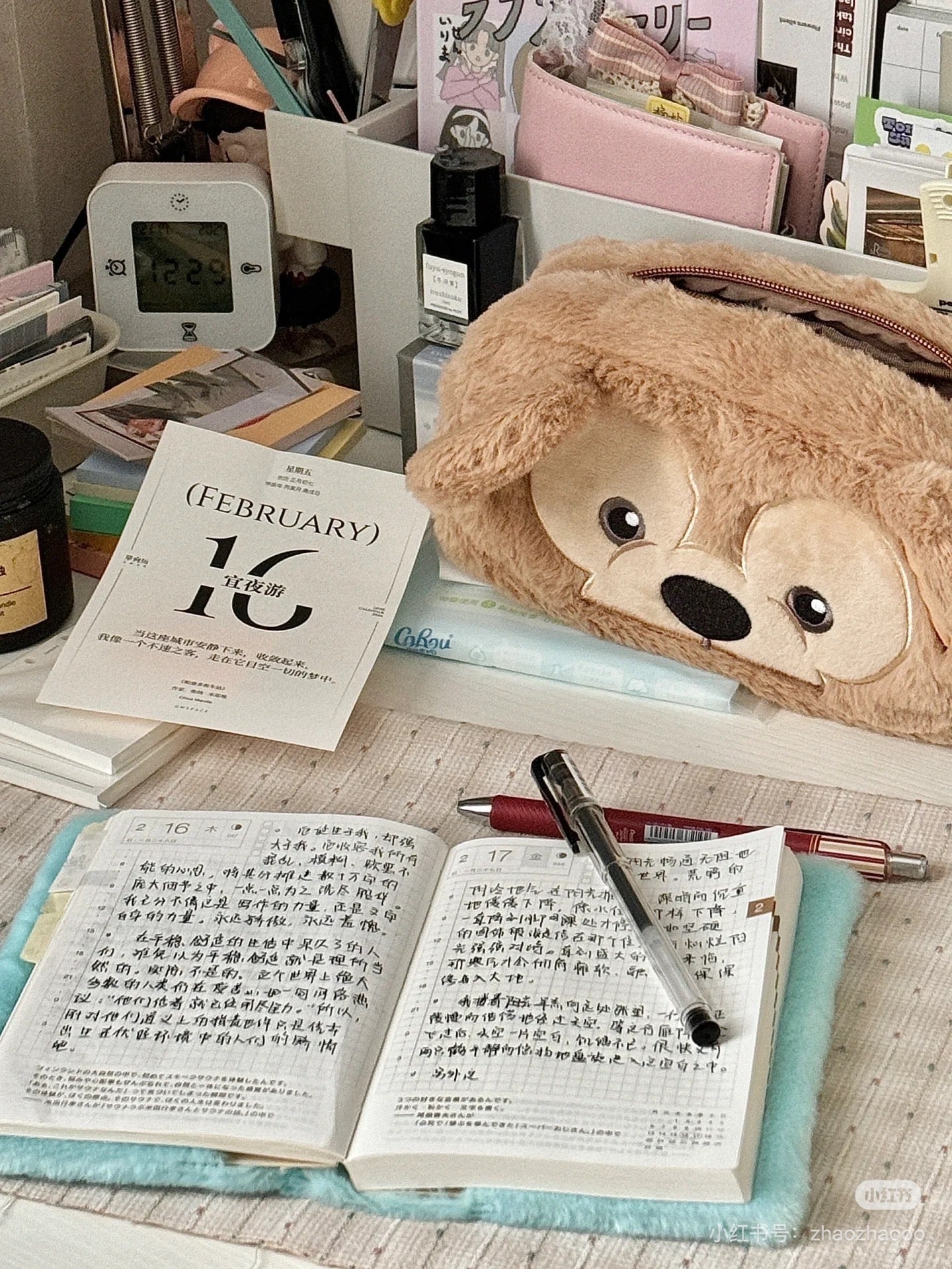 Disney SH|Duffy达菲/ShellieMay雪莉玫/玫玫大容量毛绒笔袋