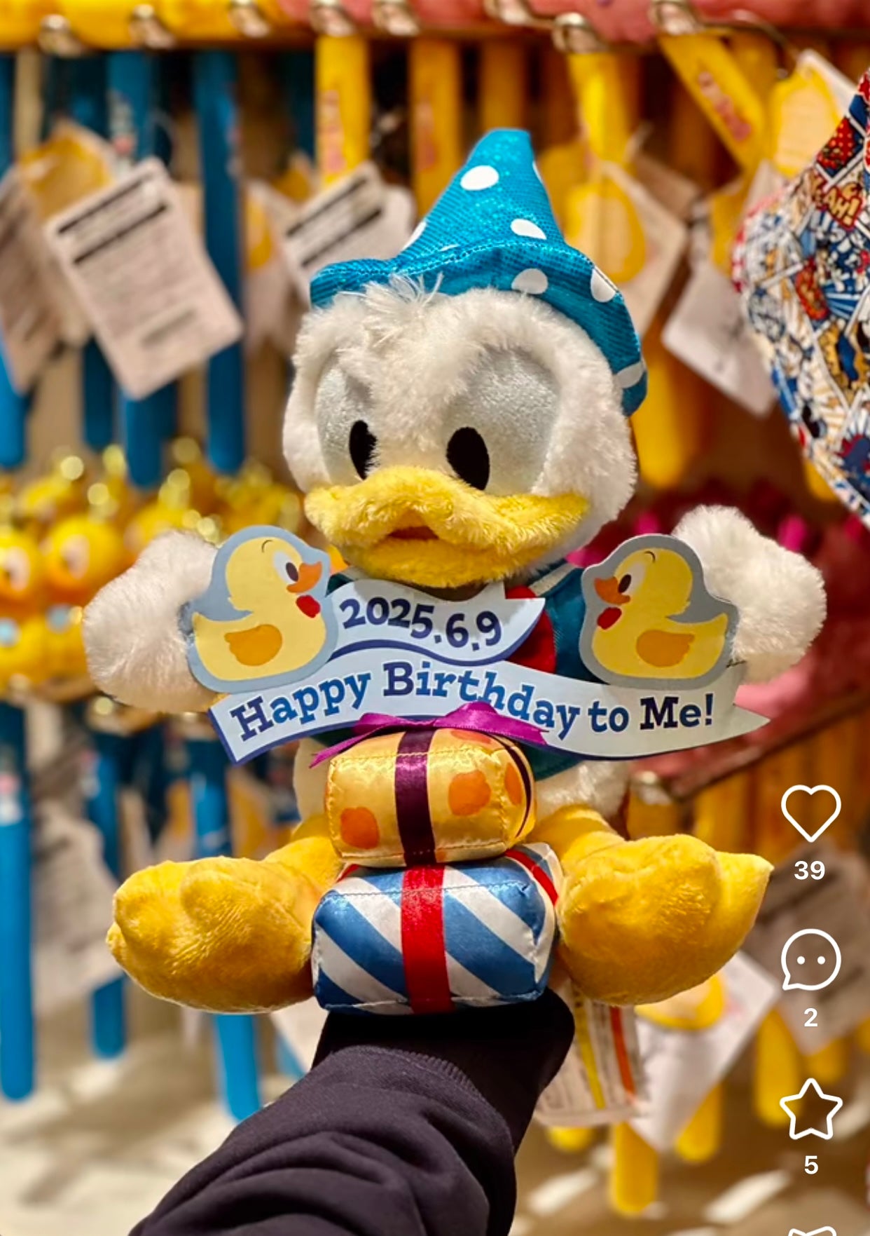 Disney|Tokyo Disneysea Resort donald duck birthday limited plush toy