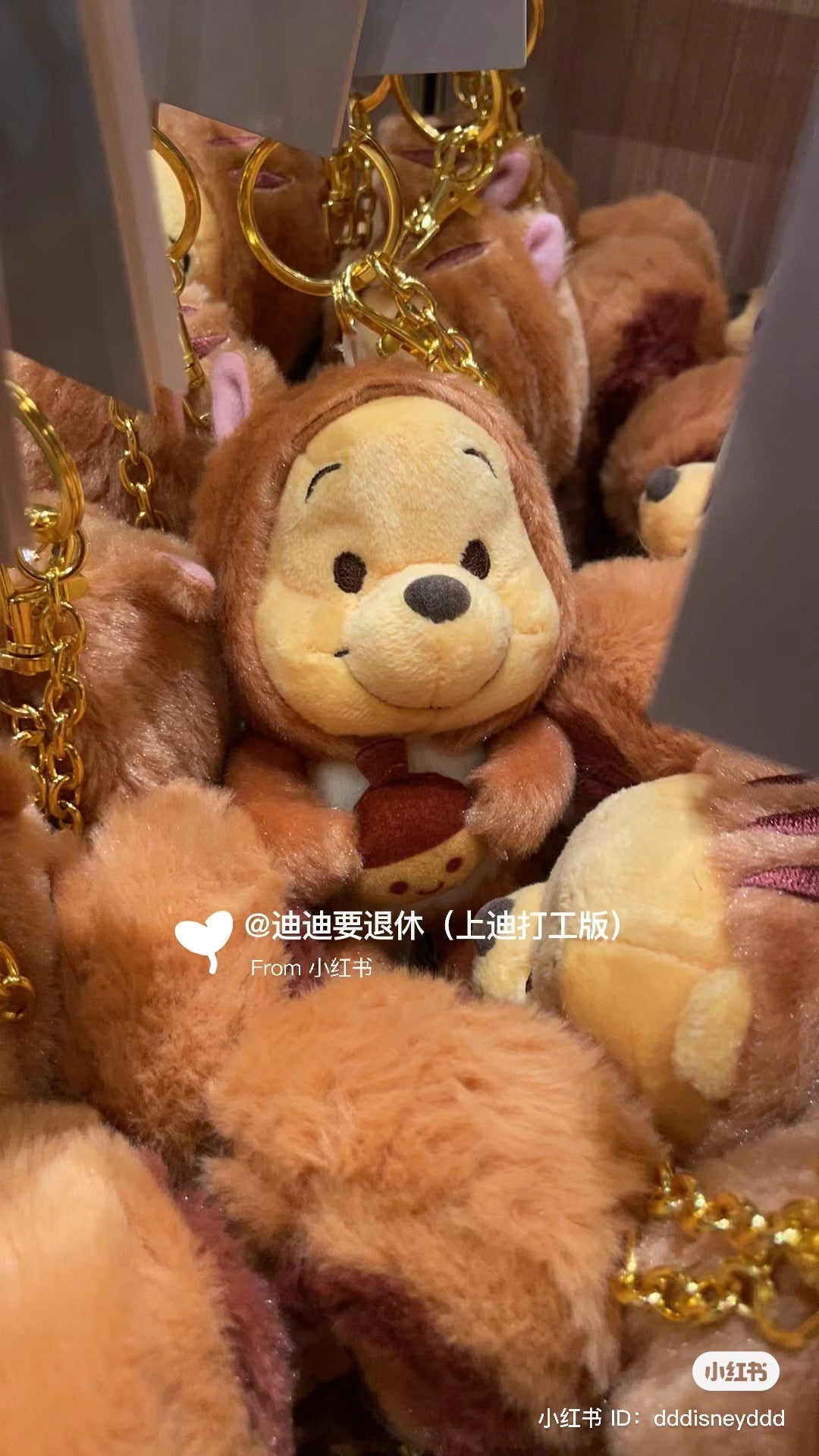 Disney SH|松鼠噗噗/维尼毛绒挂件/帽帽可脱|