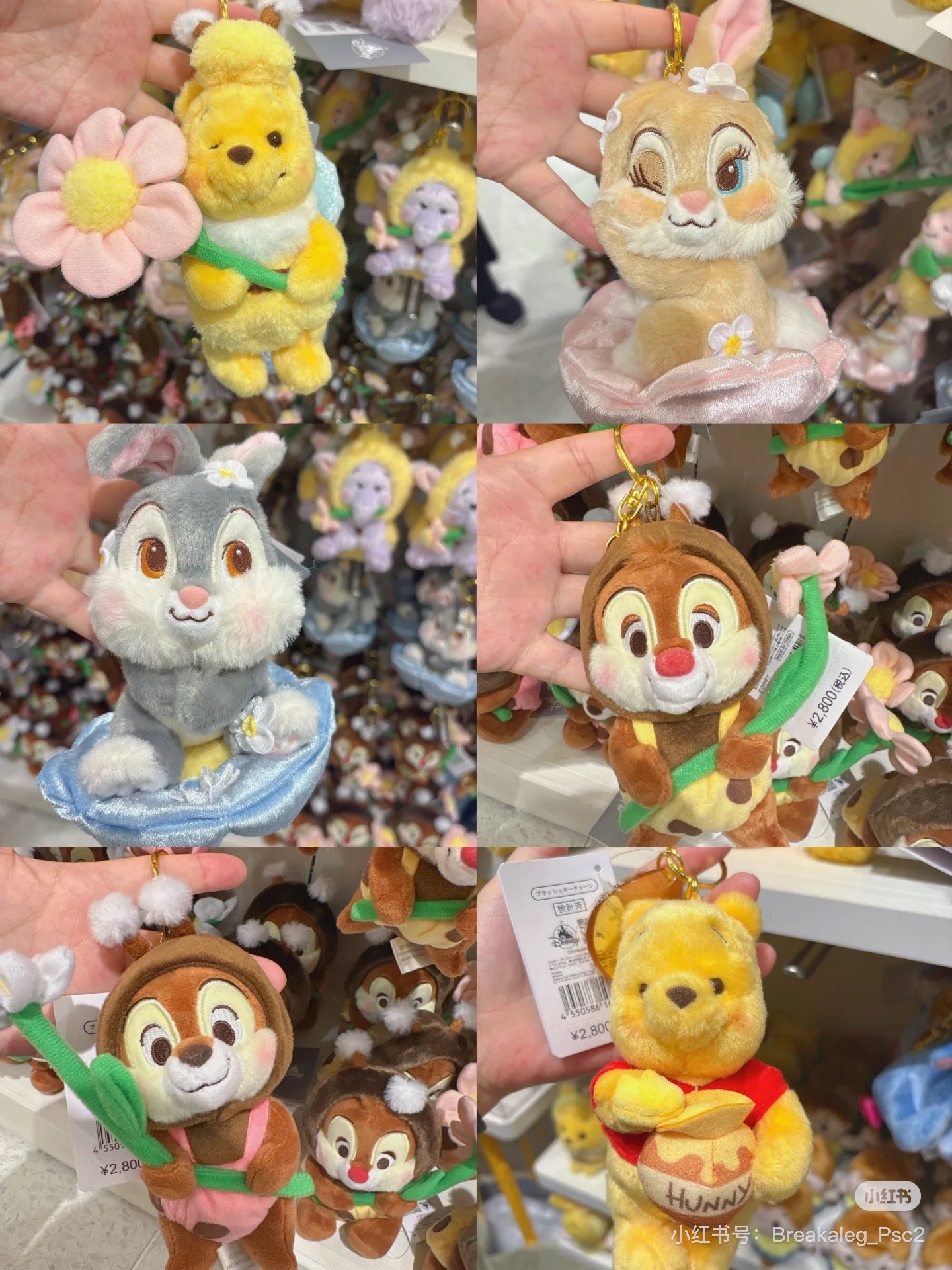 Disney|Flower Garden Mascot Holder /Plush Keychain|H16×W12×D10cm approx.