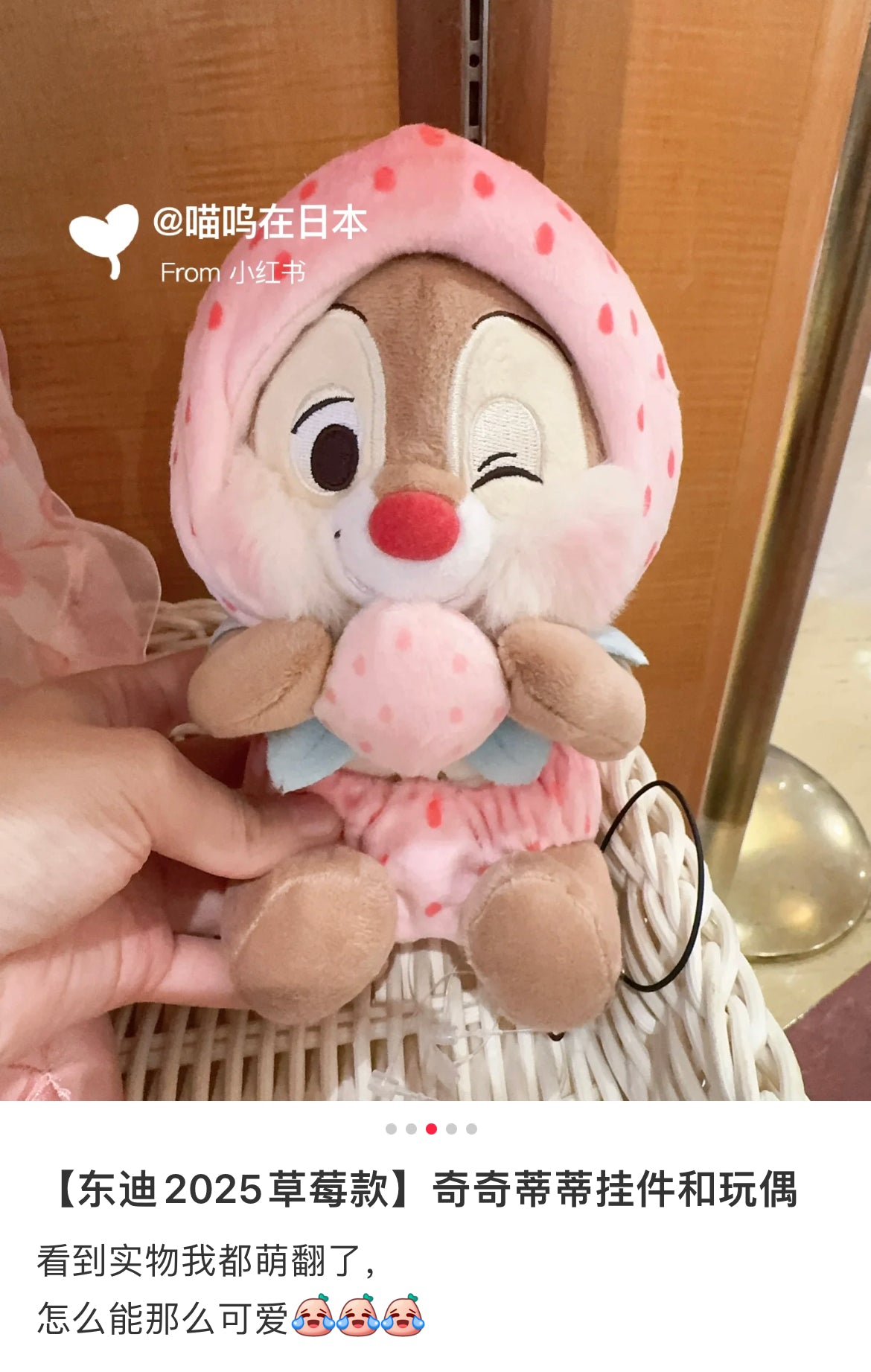 Disney|Strawberry Collection with Strawberry Scent Plush Dolls/PlushToy| H19×W12×D12cm approx.