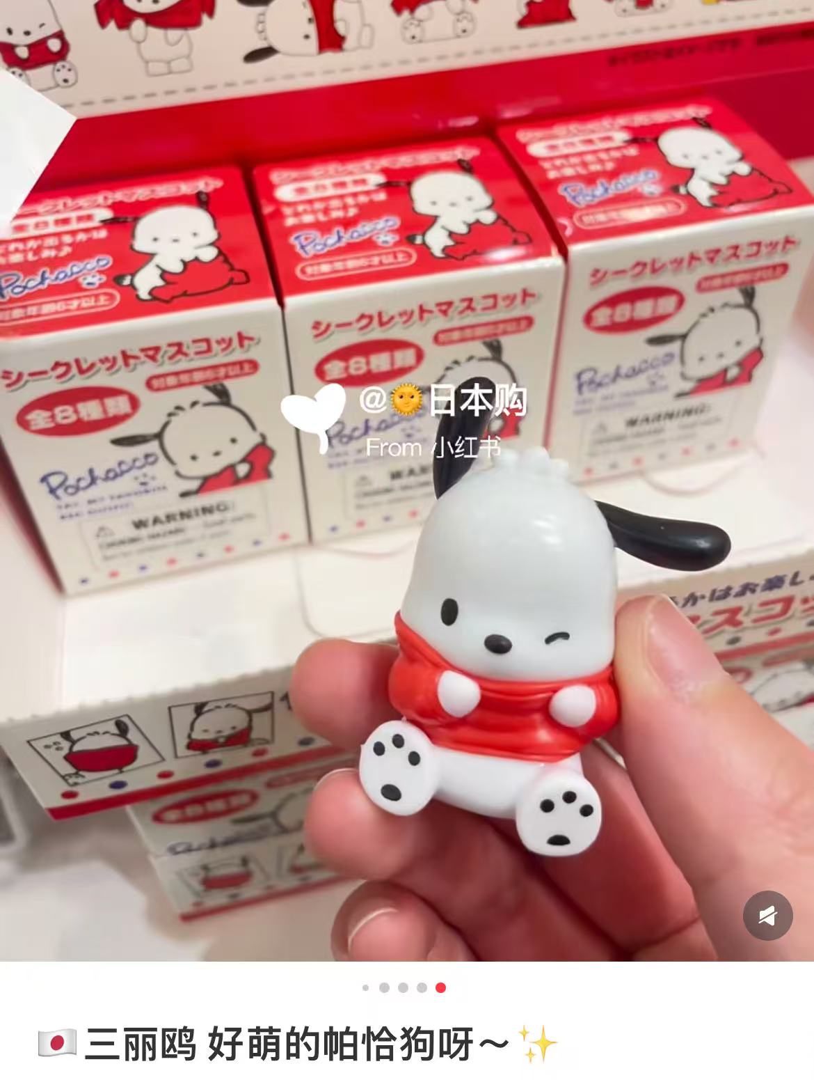 Sanrio|Secret Mascot Pochacco Outfit Change mystery bag/blind box/All 8 types|1pcs