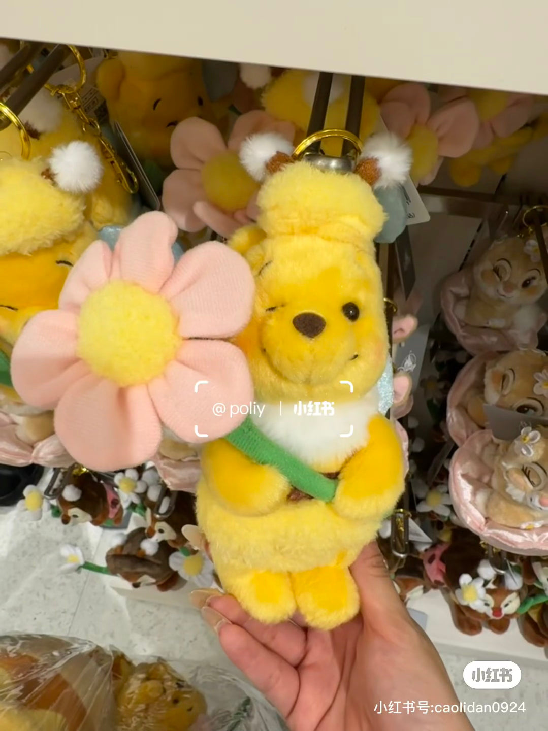 Disney|Flower Garden Mascot Holder /Plush Keychain|H16×W12×D10cm approx.