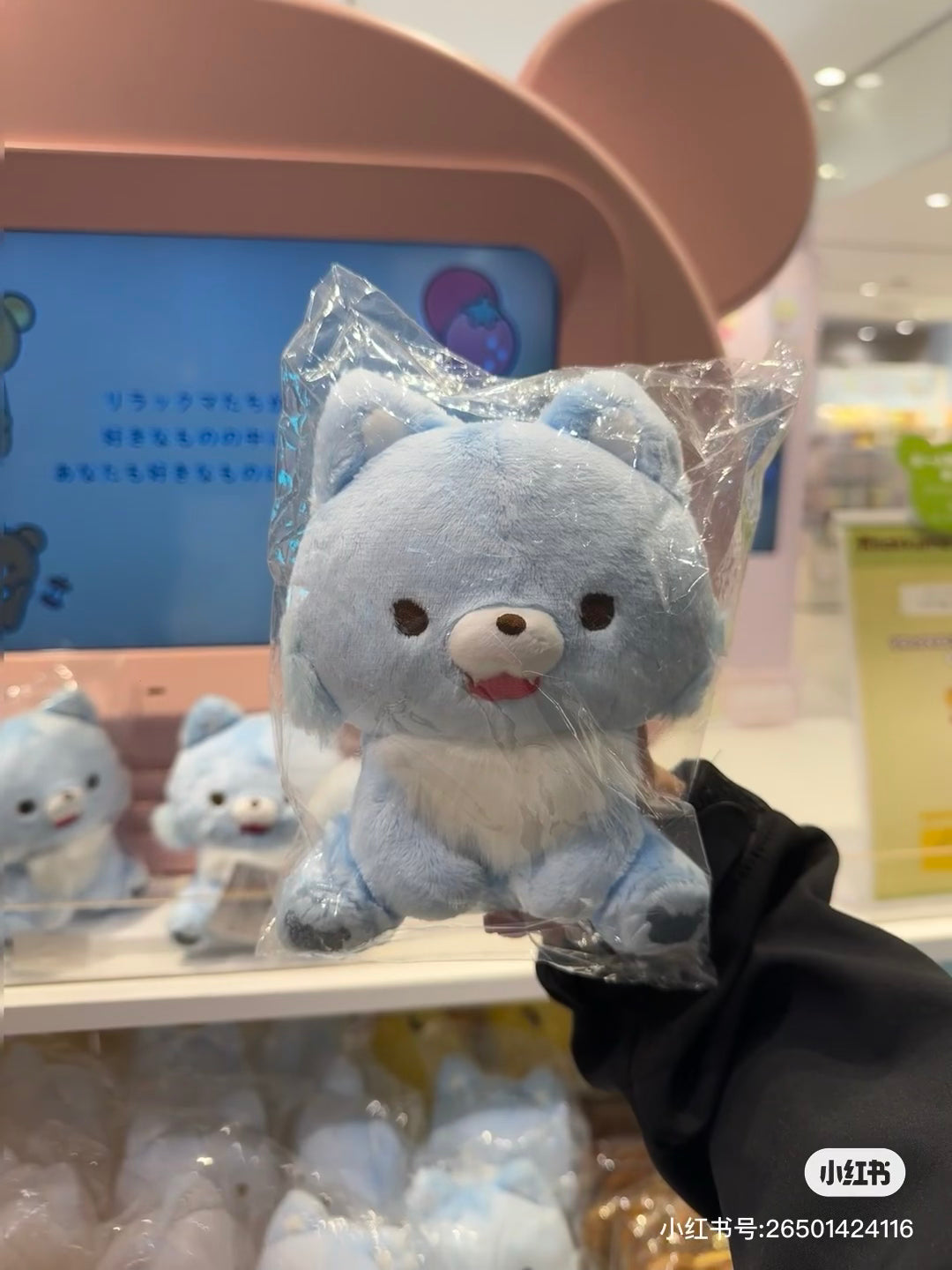 Rilakkuma轻松熊|AoKogu no Otomari - Plush Toy San-X新角色毛绒玩偶/公仔|约180×130×100mm