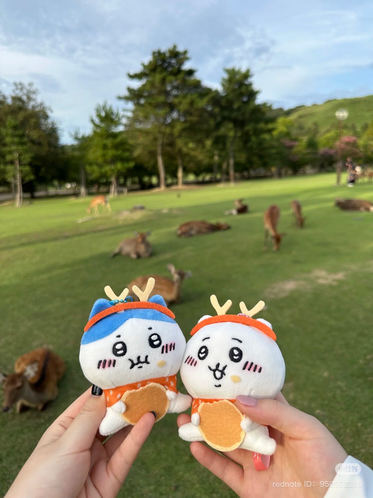 Chiikawa |Local Limited Deer Hanging Mascot Holder / keychain