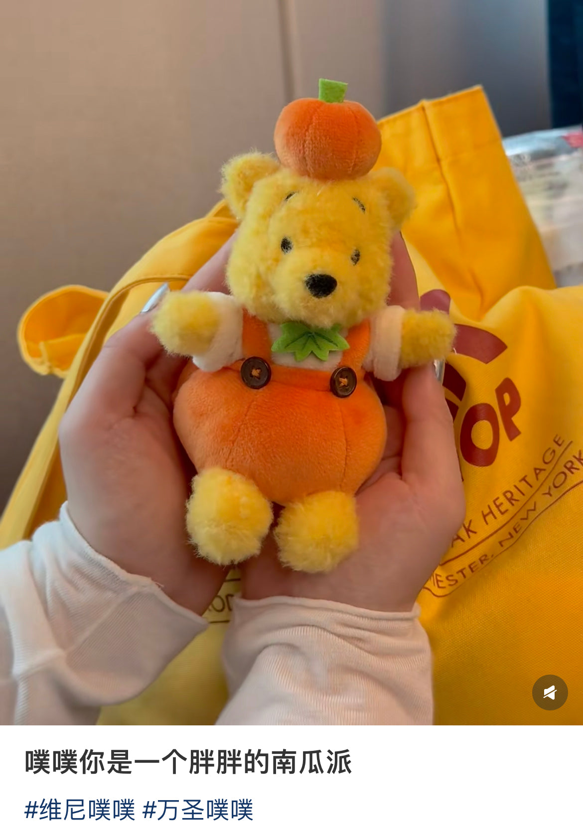 Disney|halloween pumpkin Winnie the Pooh Mascot Holder /Plush Keychain