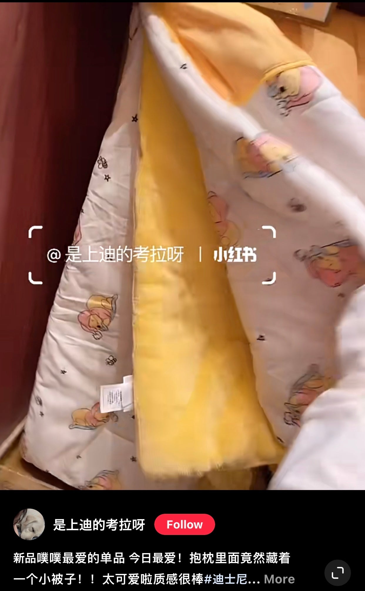 Disney SH|winnie the pooh维尼/噗噗小被子抱枕/打开后小被子超赞/又软又美