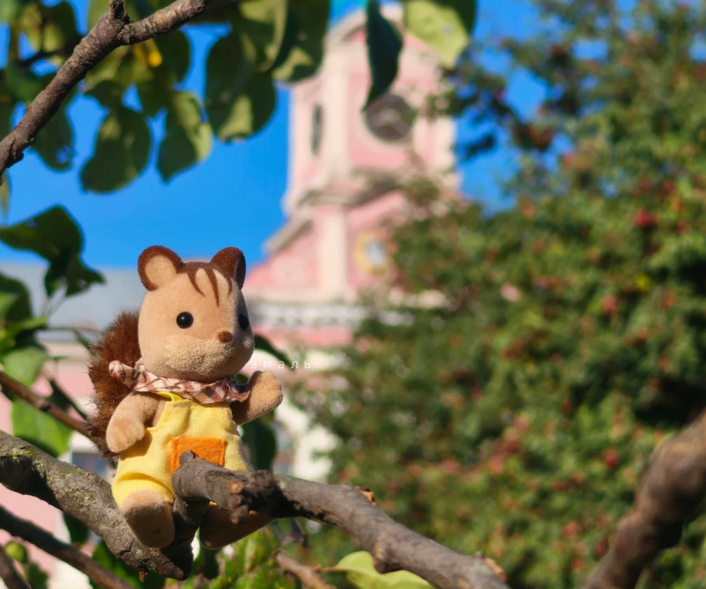 SylvanianFamilies|Walnut Squirrel Boy Doll