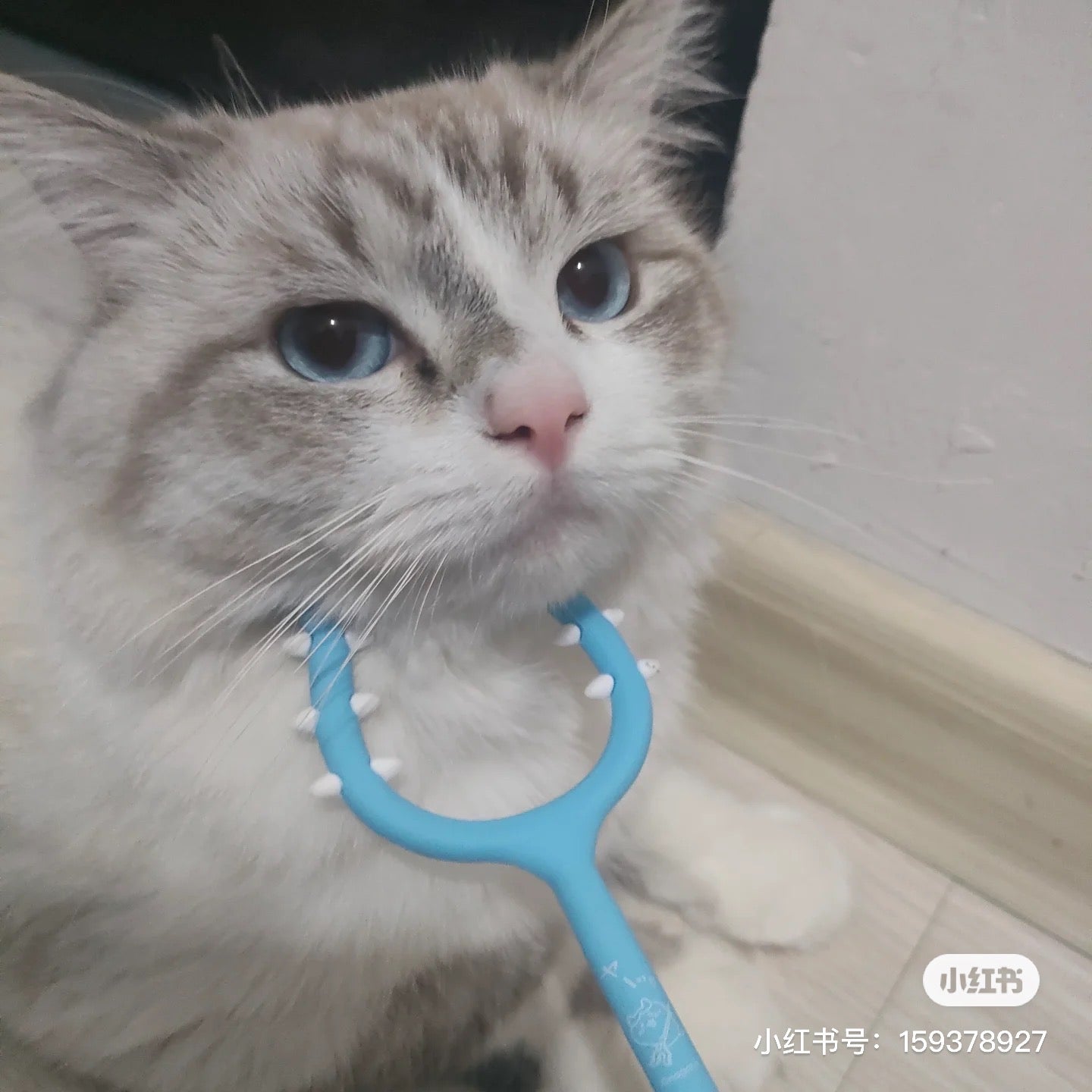 Chiikawa 吉伊卡哇|超可爱讨伐/讨伐棒叉型笔|约H210 x W70 x D7mm