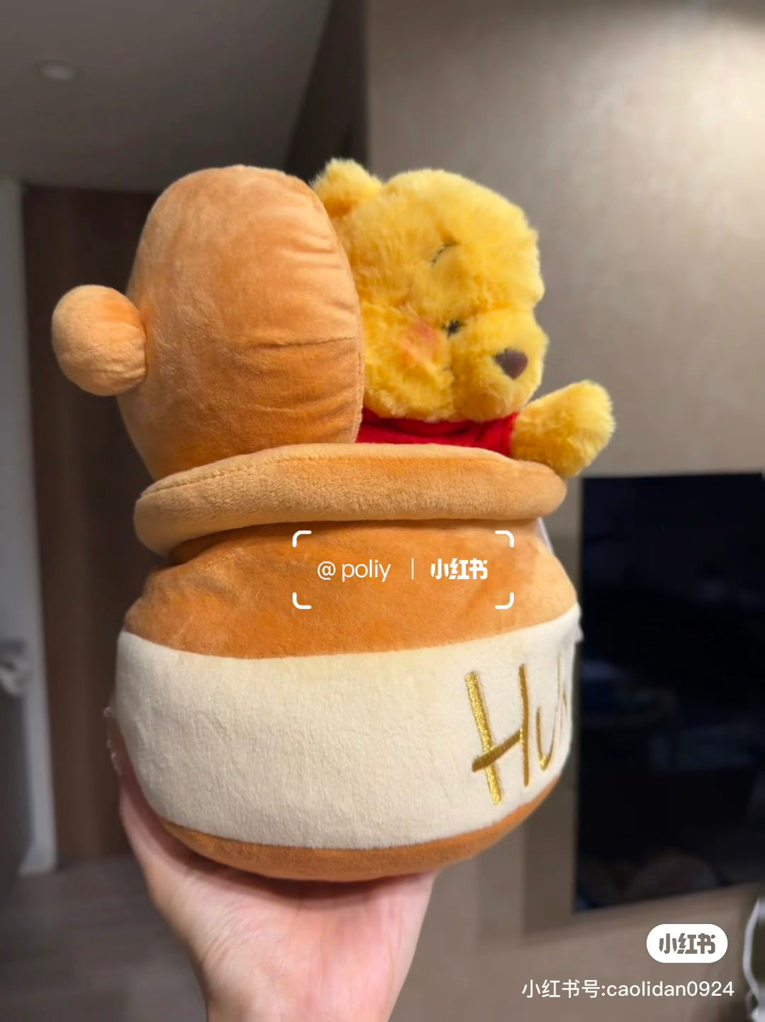 Disney|HONEY DAY 2025 Plush Dolls/Plush Toy| 50 x 20 x 20cm deep approx.