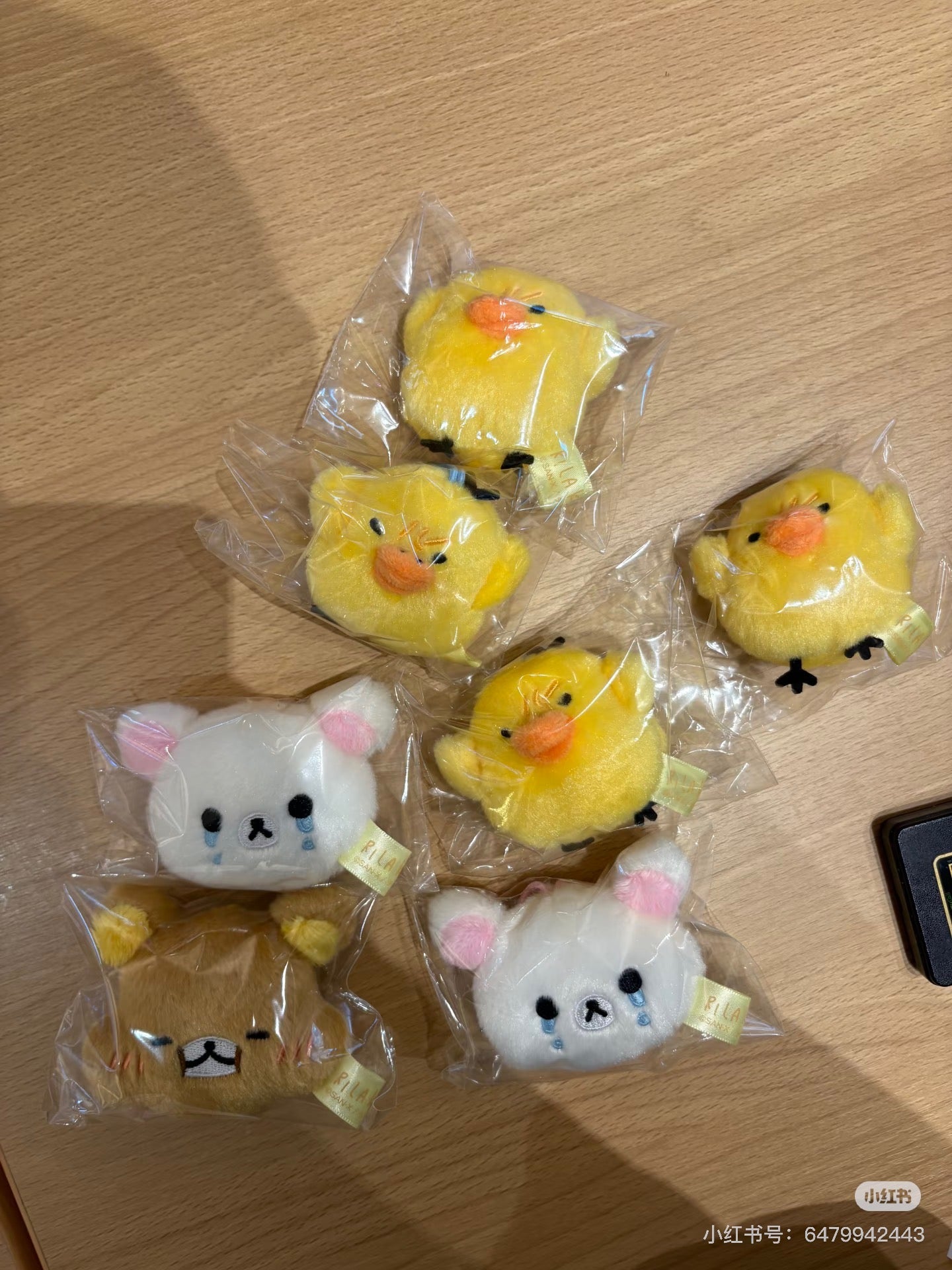 Rilakkuma|Stay with Me Today&