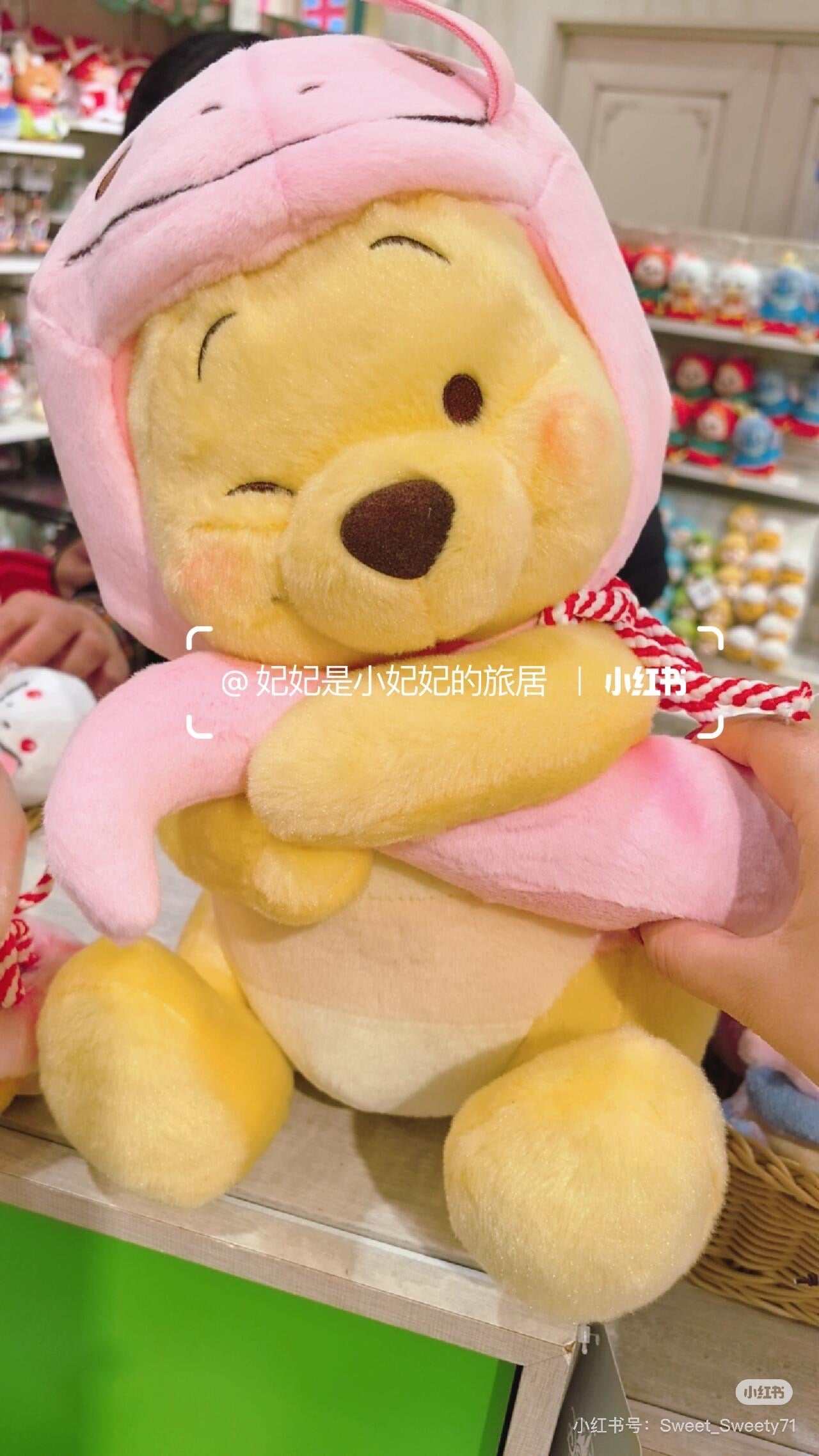 Disney迪士尼|东迪2025蛇年限定pooh噗噗维尼玩偶M号公仔|約高さ36×幅26×奥行き26(cm)