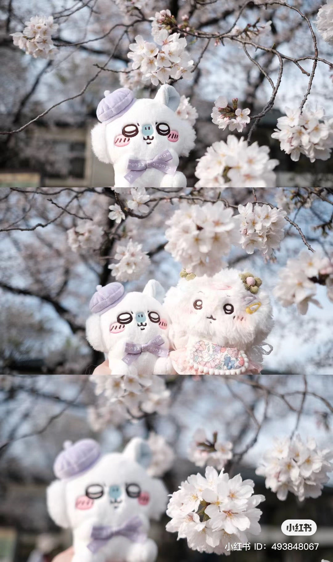 Chiikawa 吉伊卡哇|Sitting Plush Toy /Tokyo Souvenirs贝雷帽可爱坐姿毛绒公仔/玩偶|约H180×W120×D110mm