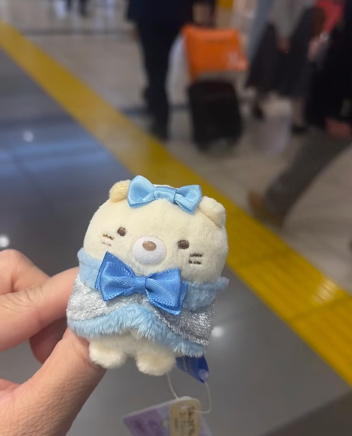 Sumikko gurashi|Honey Forest Christmas Hand-held Plush/All 6 types|1pcs