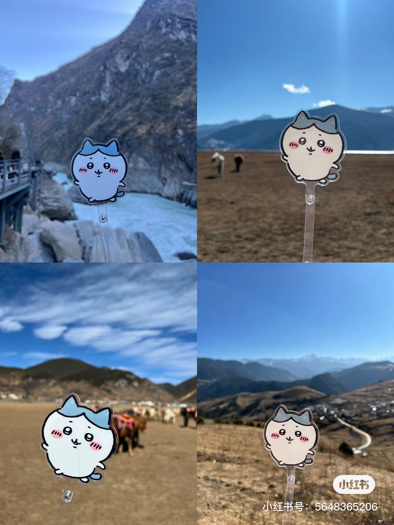 Chiikawa 吉伊卡哇|可爱角色自拍棒|約H115×W77×D7mm