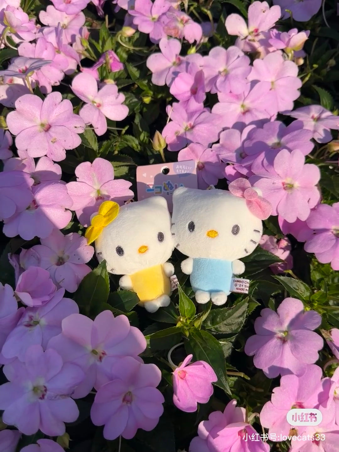 Sanrio| niko nui Cinnamoroll & Moca Plush Mascot Keychain|17cm×13cm×6cm approx.
