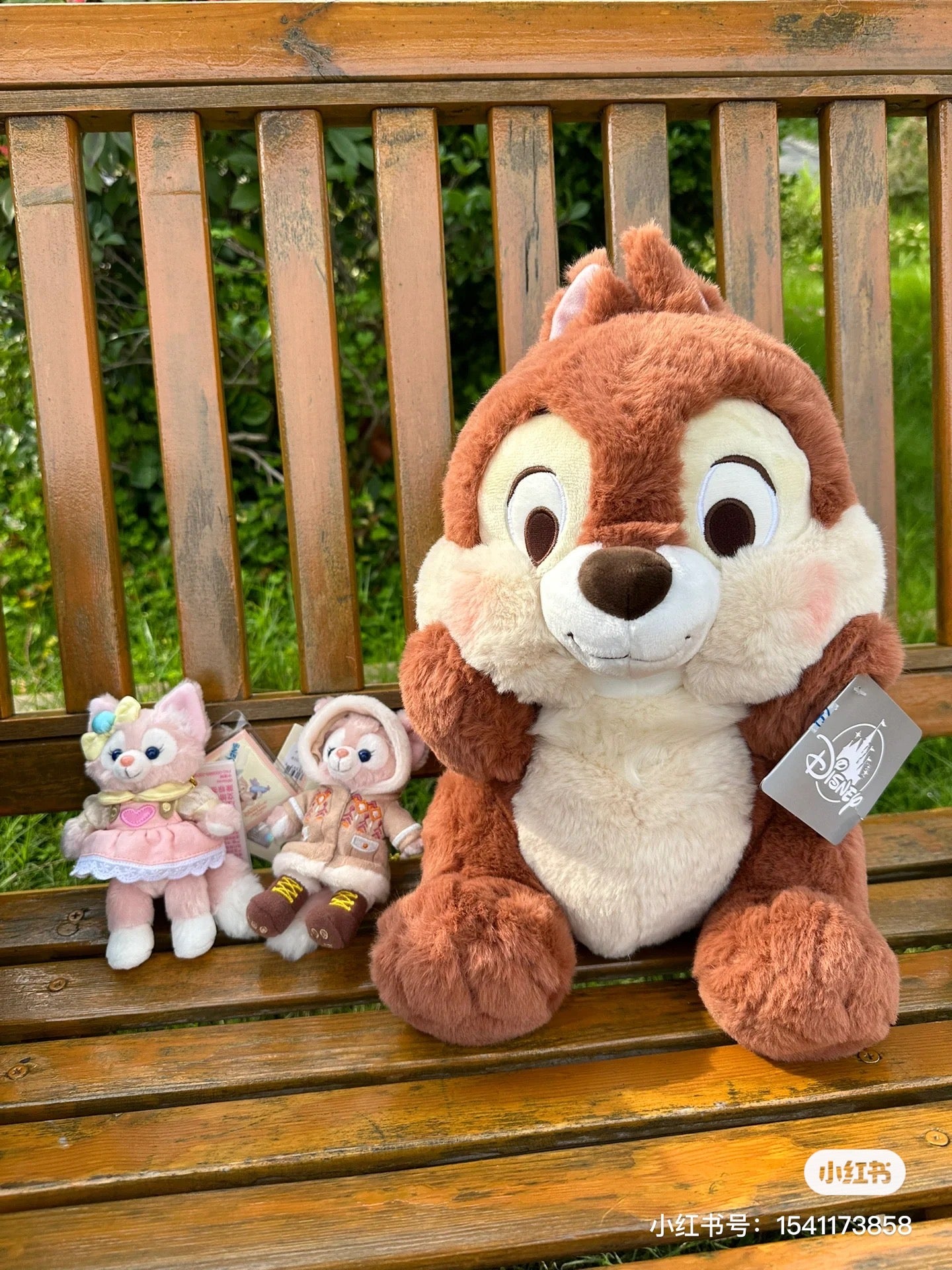 Disney SH|超好摸托腮奇奇毛绒公仔/玩偶