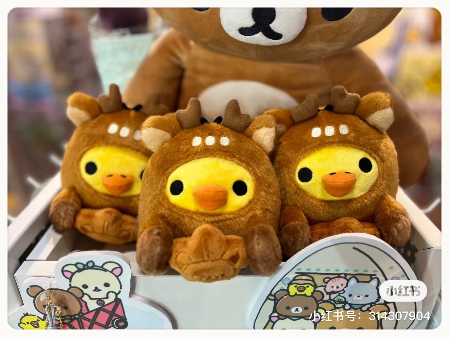 Rilakkuma轻松熊|地域限定御守寓意宫岛鹿角玩偶/公仔|約W170×250mm