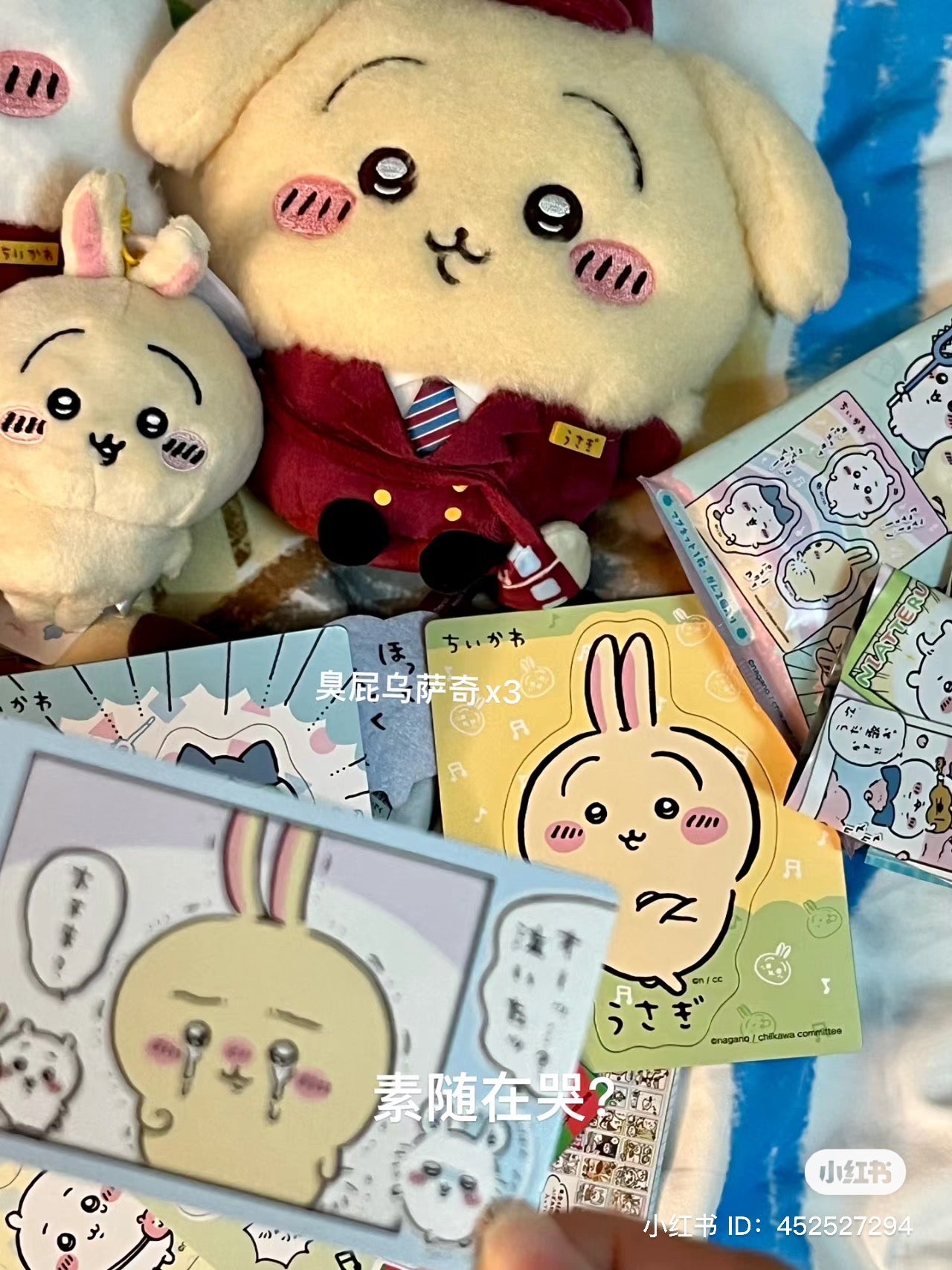 Chiikawa 吉伊卡哇|各系列冰箱贴盲盒/全14种|1袋入