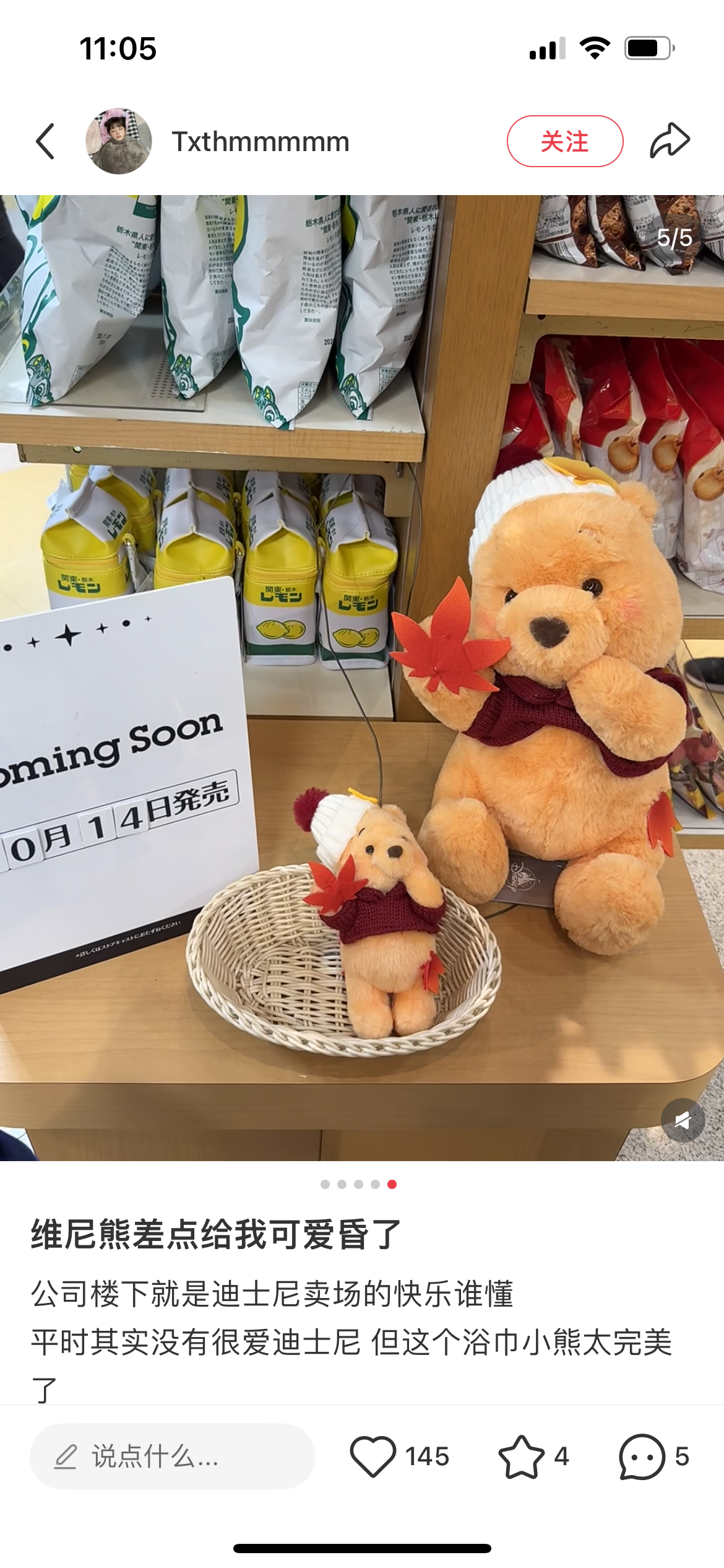Disney|Momiji Winnie the Pooh Plush Dolls/Plush Toy|H35×W23×D25cm approx.