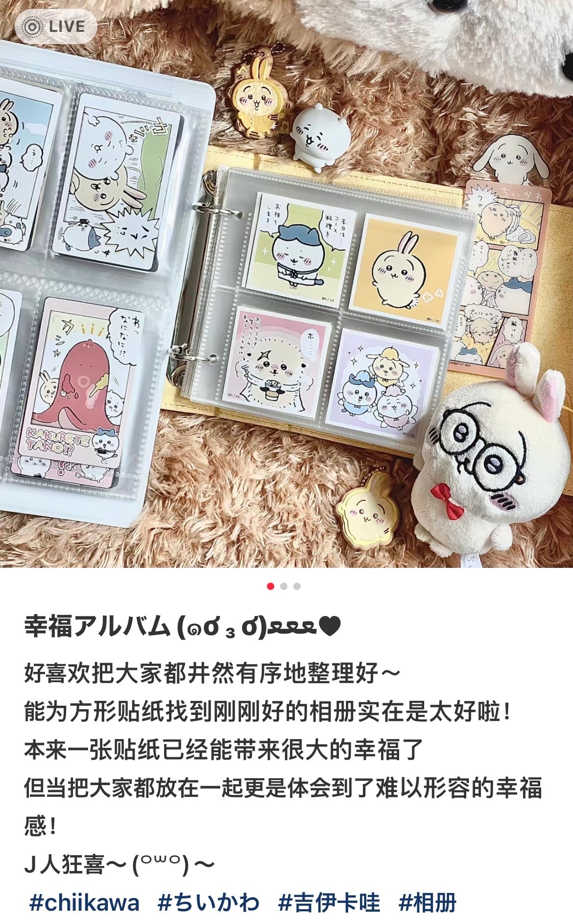 Chiikawa 吉伊卡哇|软软外壳卡册/手掌相册/拍立得相册/邮票/贴纸收藏/抽卡收藏/侧面还可挂挂链|10卡位入