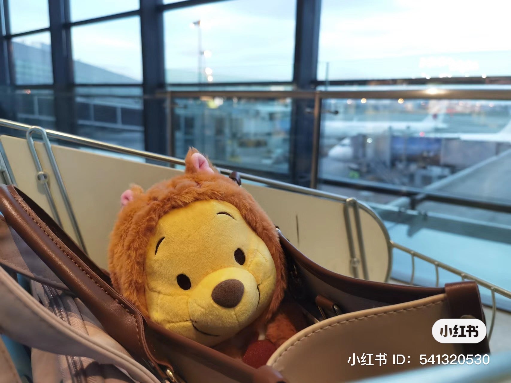 Disney SH|松鼠噗噗/维尼公仔/玩偶/帽帽可脱|S号