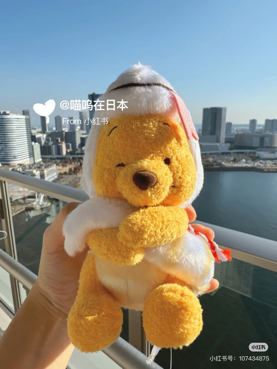 Disney迪士尼|东迪2025蛇年限定可爱角色S号毛绒玩偶/公仔/可脱帽|約高さ13×幅10×奥行き9(cm)