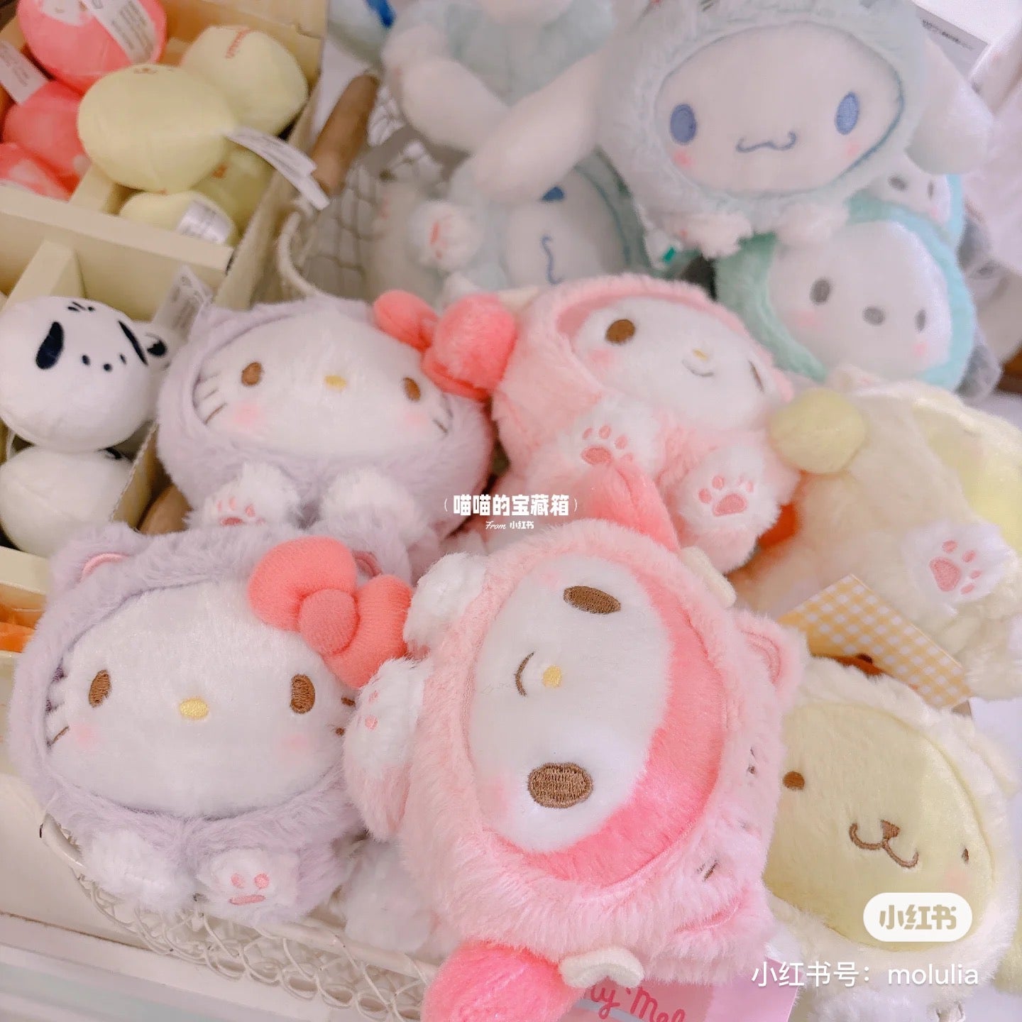 Sanrio|2024限定肉球猫咪/猫咪日系列可爱大脸挂件/包挂|约11.5 x 9.5 x 6.5cm