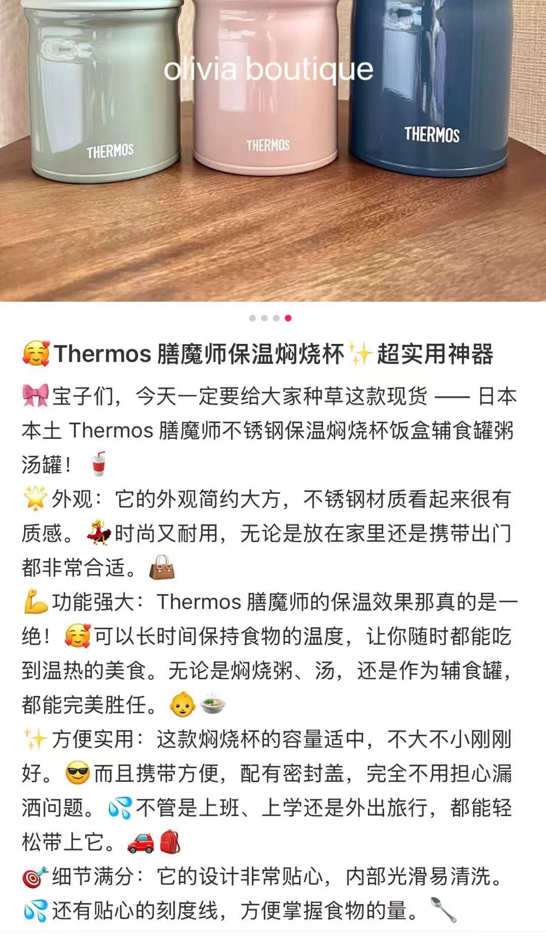 Thermos|Vacuum Insulated Soup Jar|400ml