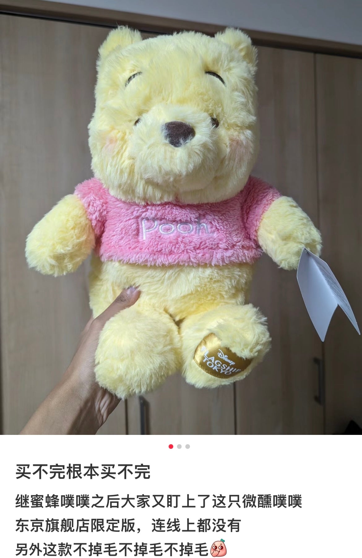 Disney|东京新宿限定金标维尼/腮红噗噗公仔/玩偶/微醺胖噗/圆圆胖脸蛋