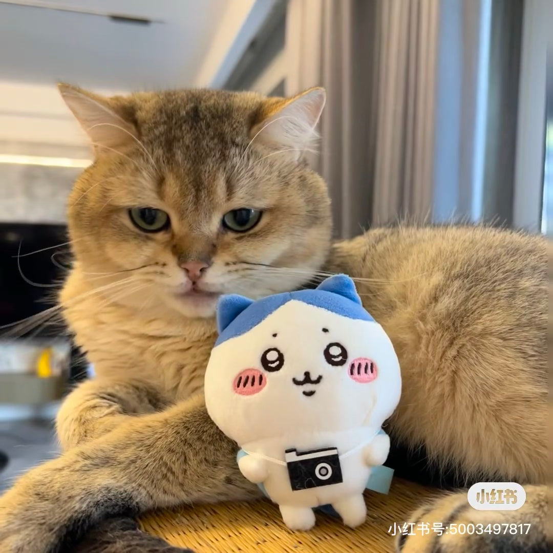 Chiikawa 吉伊卡哇|Looking forward to going out! Mochitto Puchi MiniMascot背小包包出游系列毛绒挂件/包挂|约 H135 x W90 x D55mm